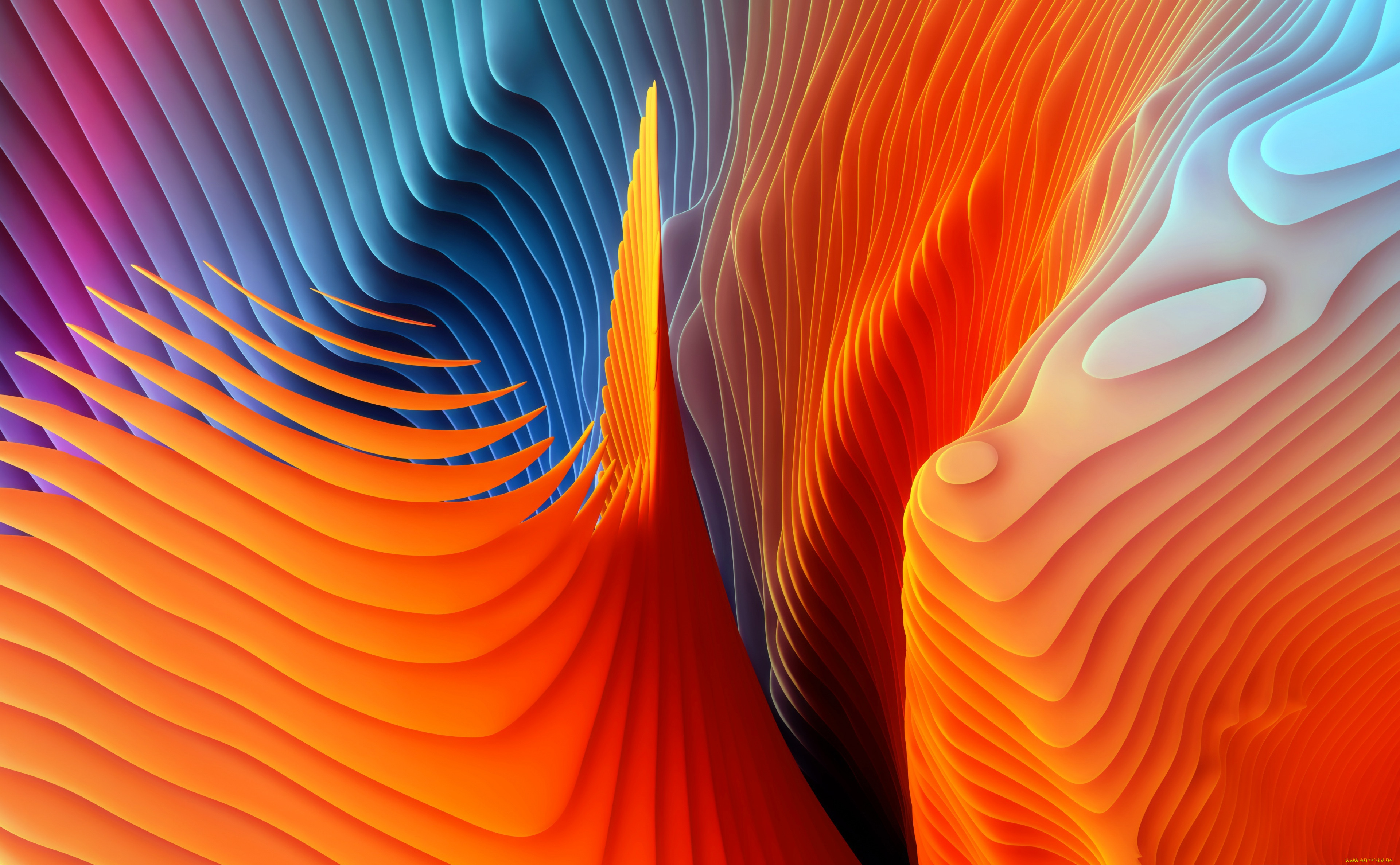 векторная, графика, графика, , graphics, краски, слой, узор, объем