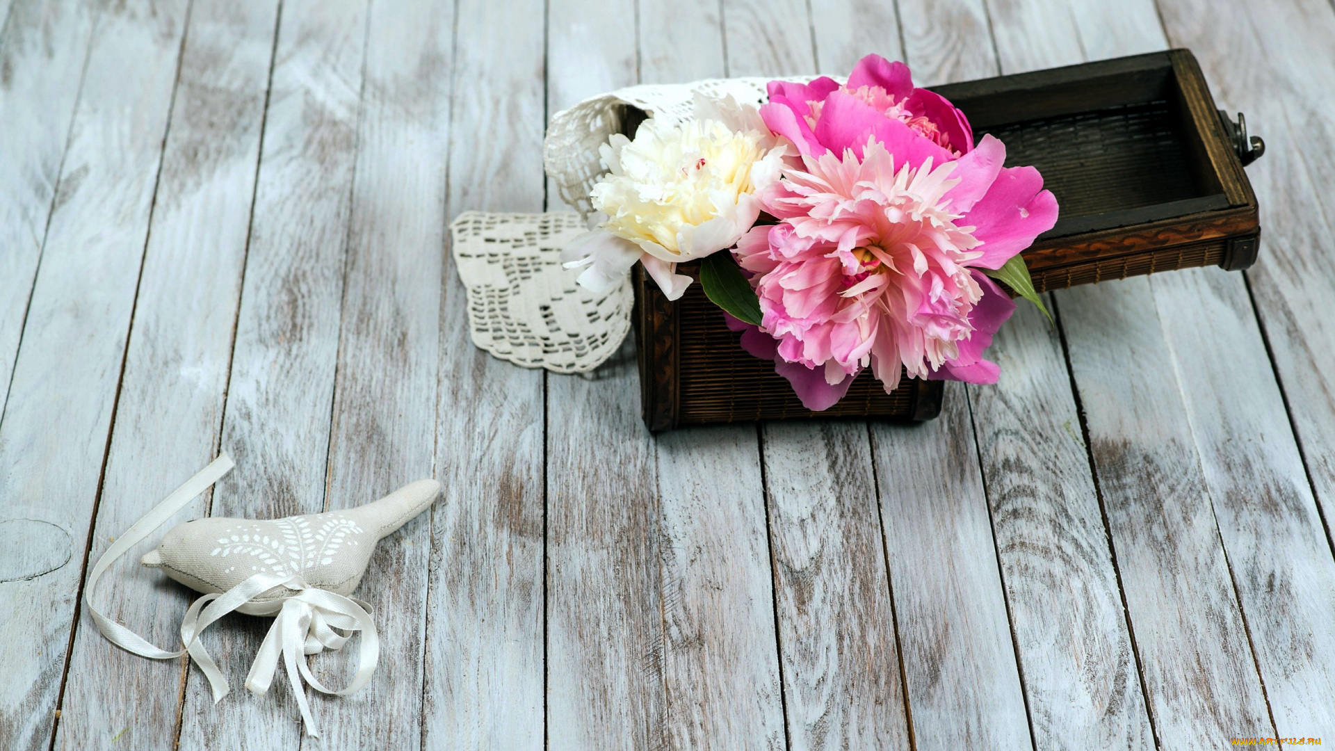 цветы, пионы, композиция