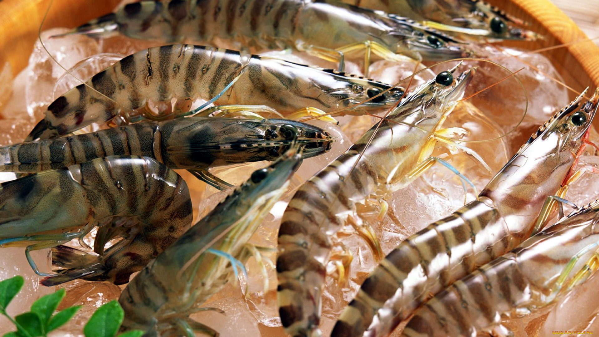 еда, рыба, , морепродукты, , суши, , роллы, креветки