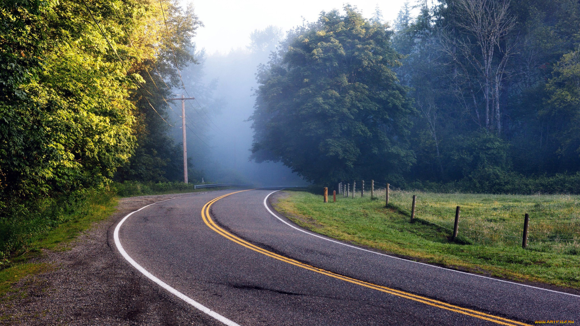 природа, дороги, туман, поворот, шоссе