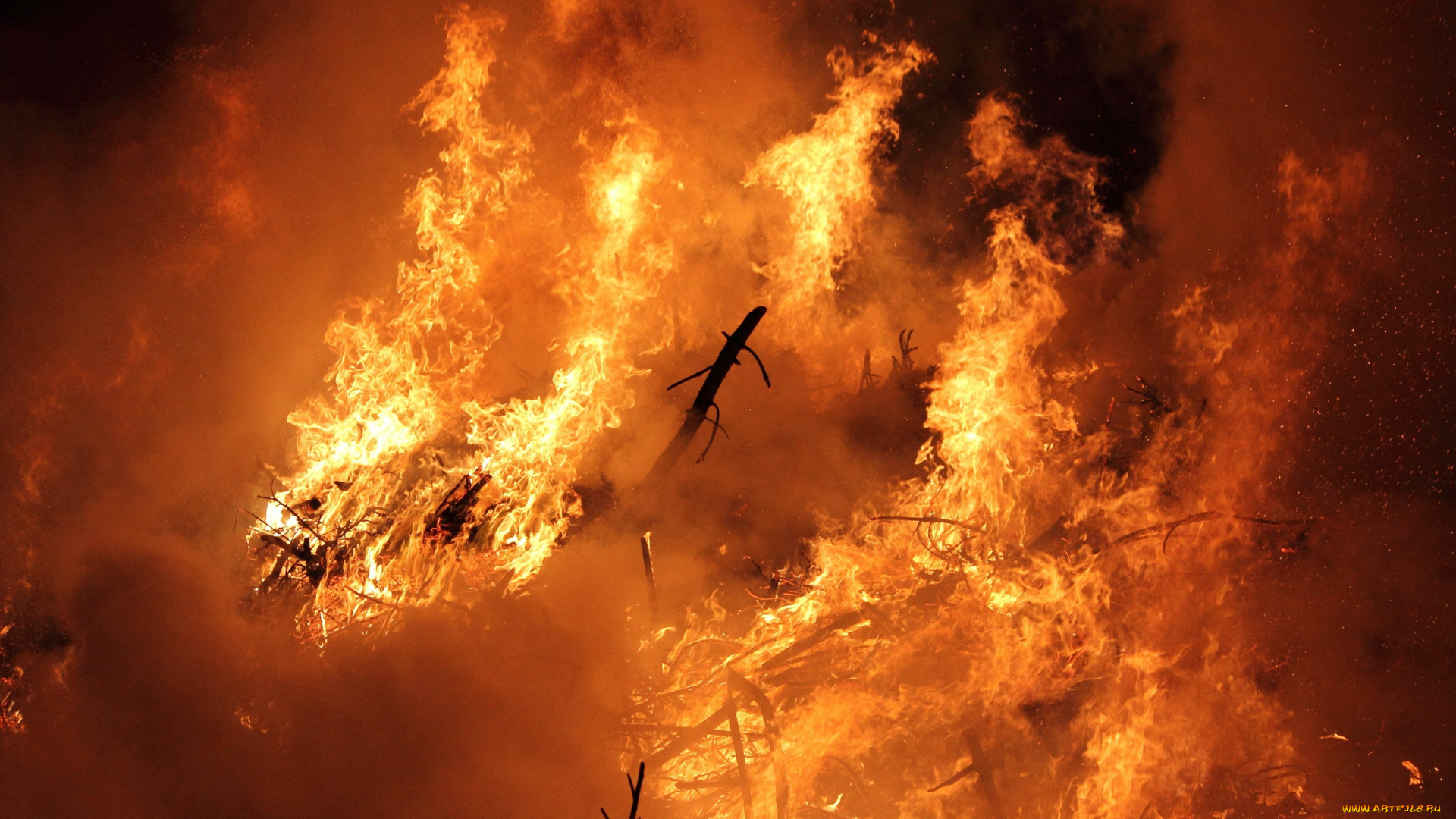 природа, огонь, пламя, пожар