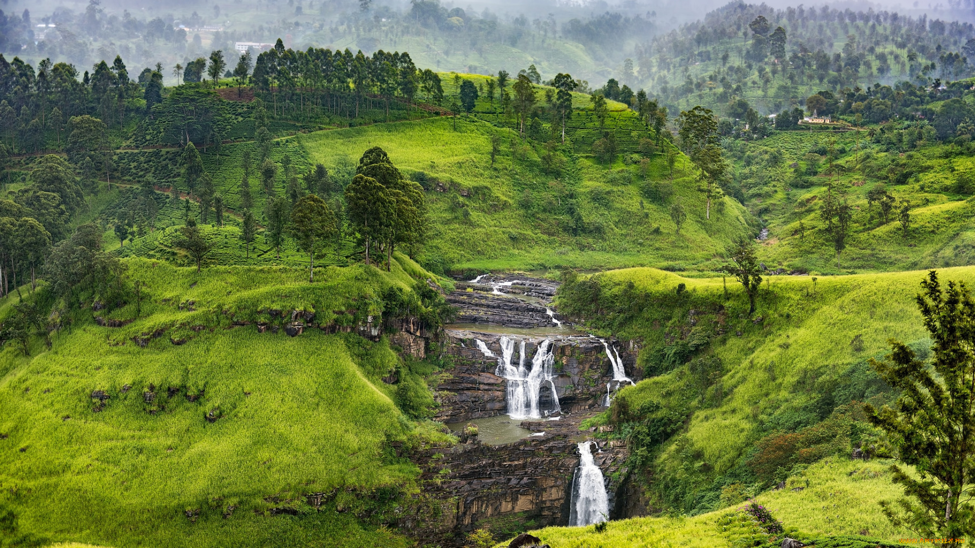 природа, пейзажи, простор