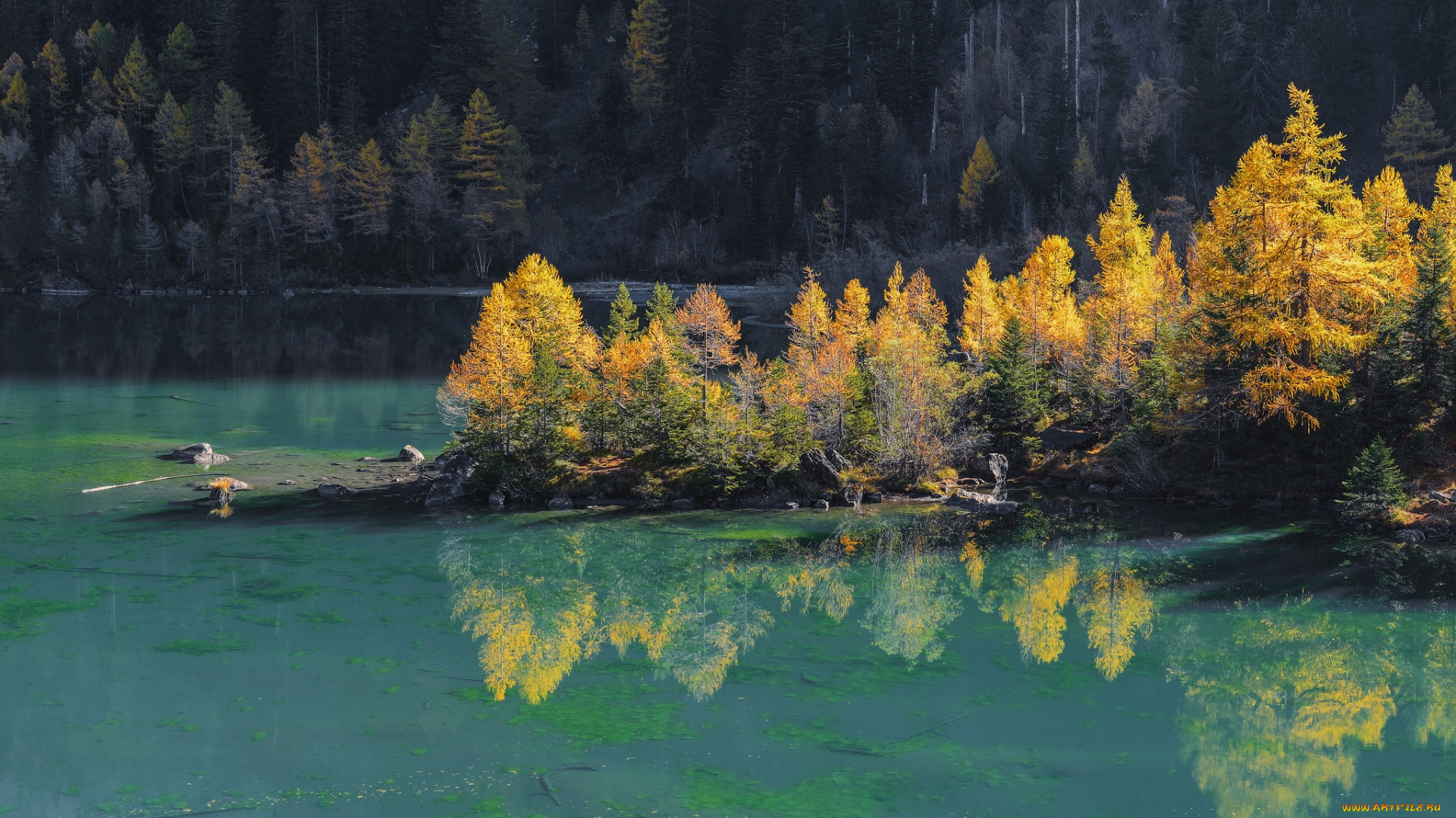природа, реки, озера, деревья, вода, река