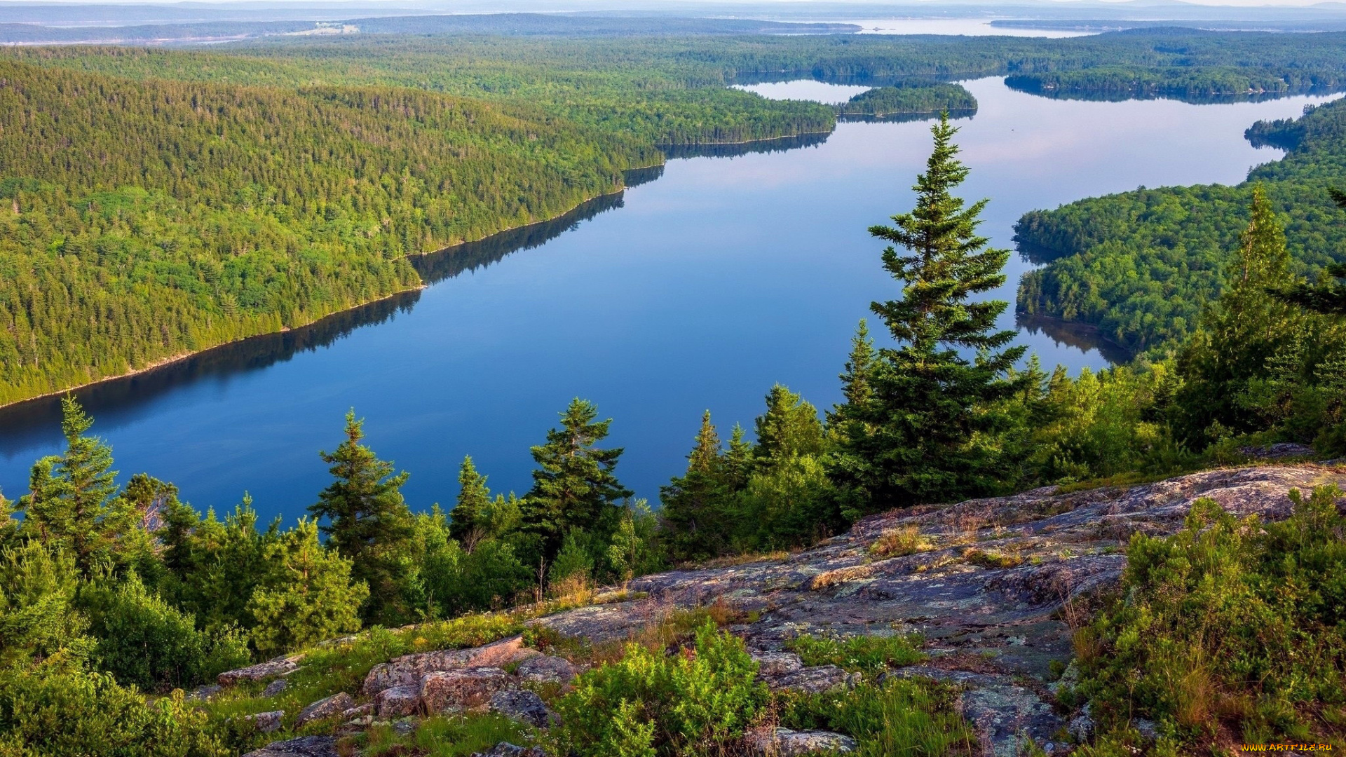 природа, реки, озера, река