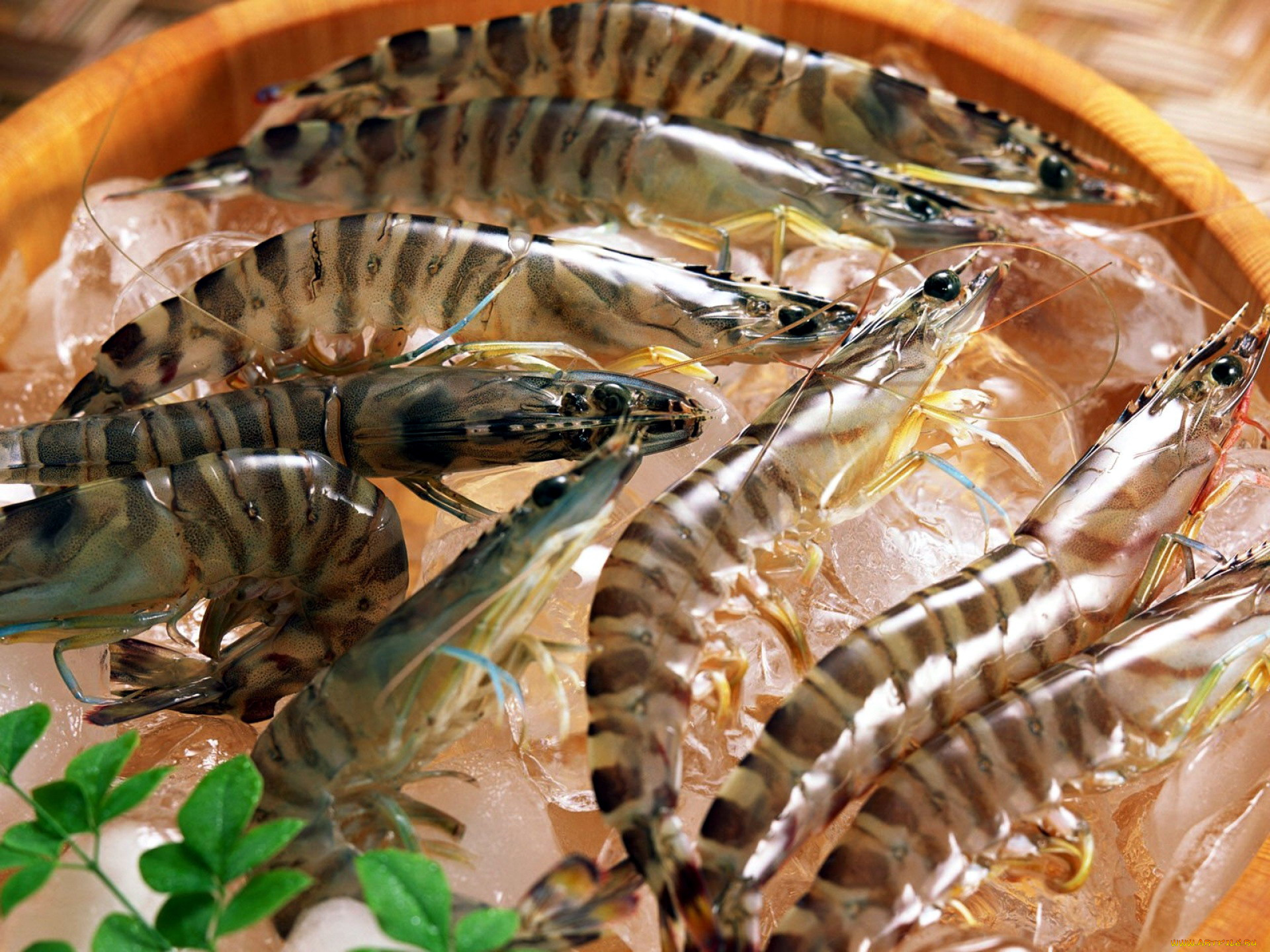 еда, рыба, , морепродукты, , суши, , роллы, креветки