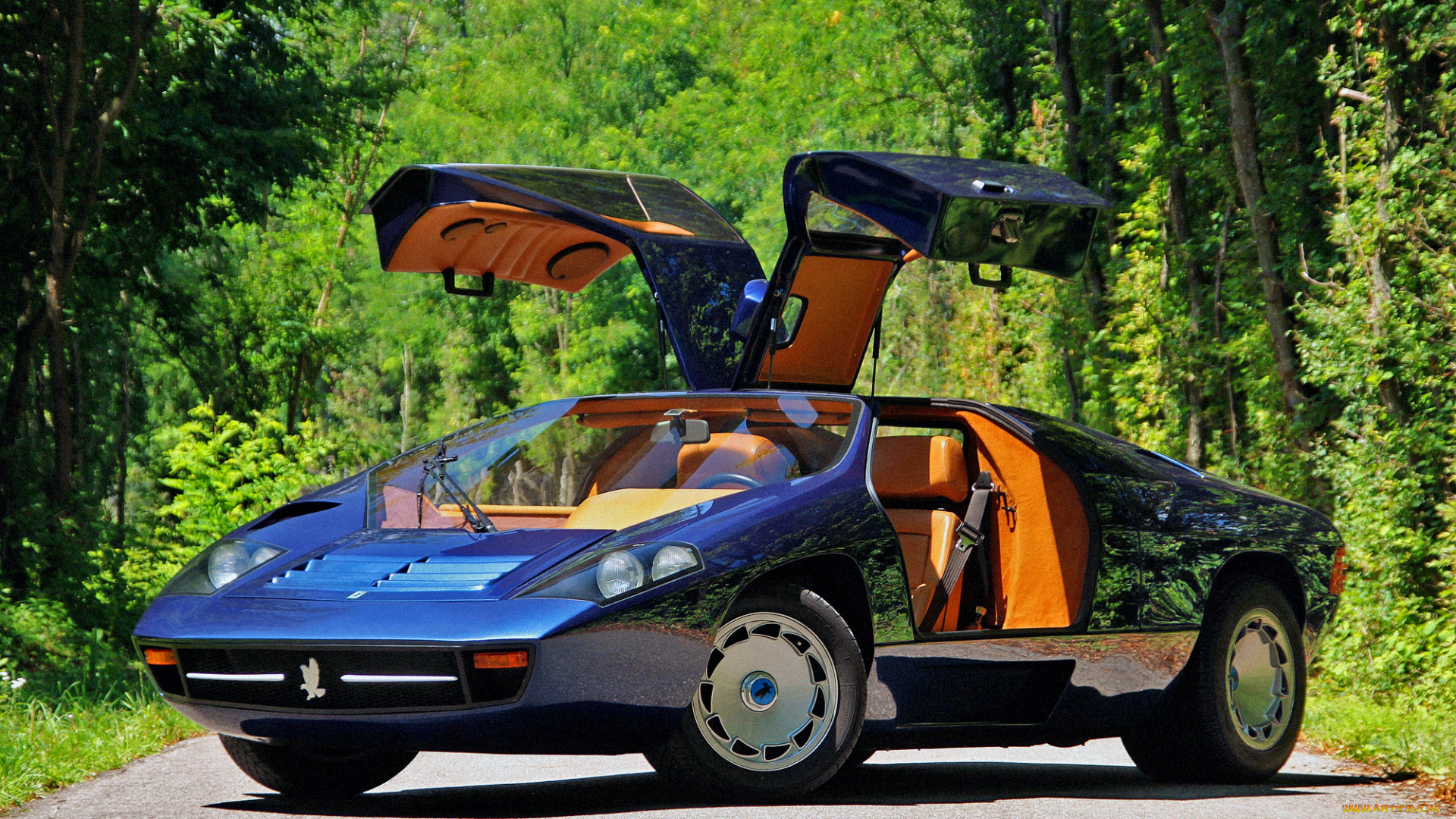 автомобили, isdera