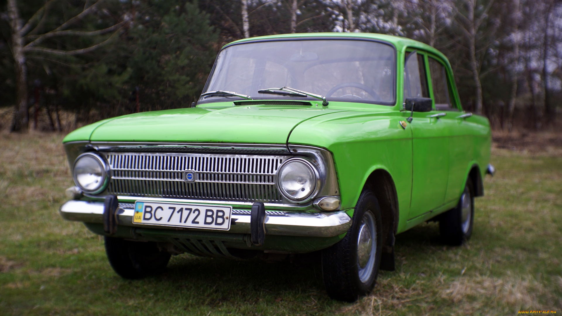 автомобили, москвич, иж, автомобиль, ретро, лес, зелёный