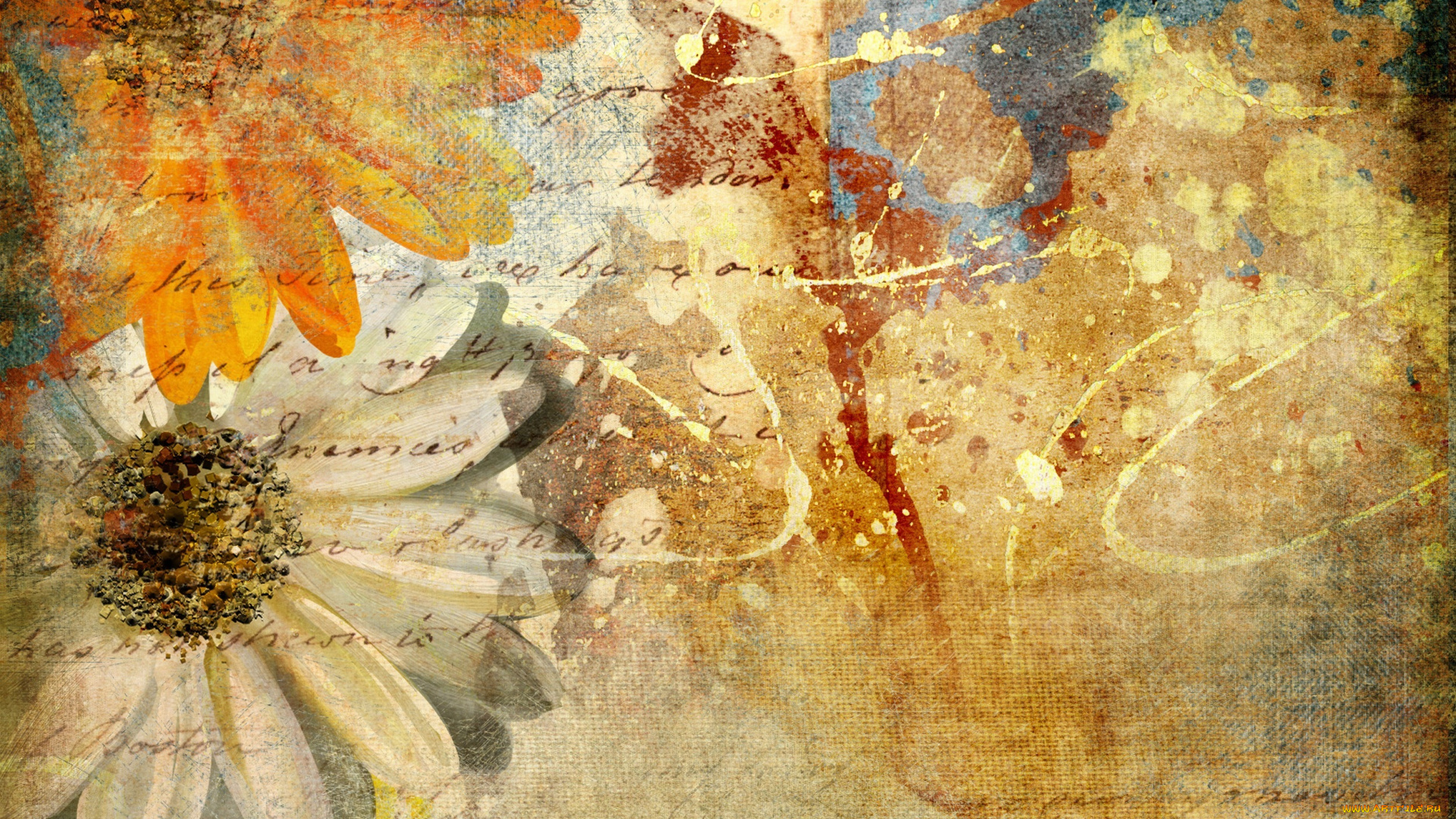 разное, компьютерный, дизайн, ромашки, письмо