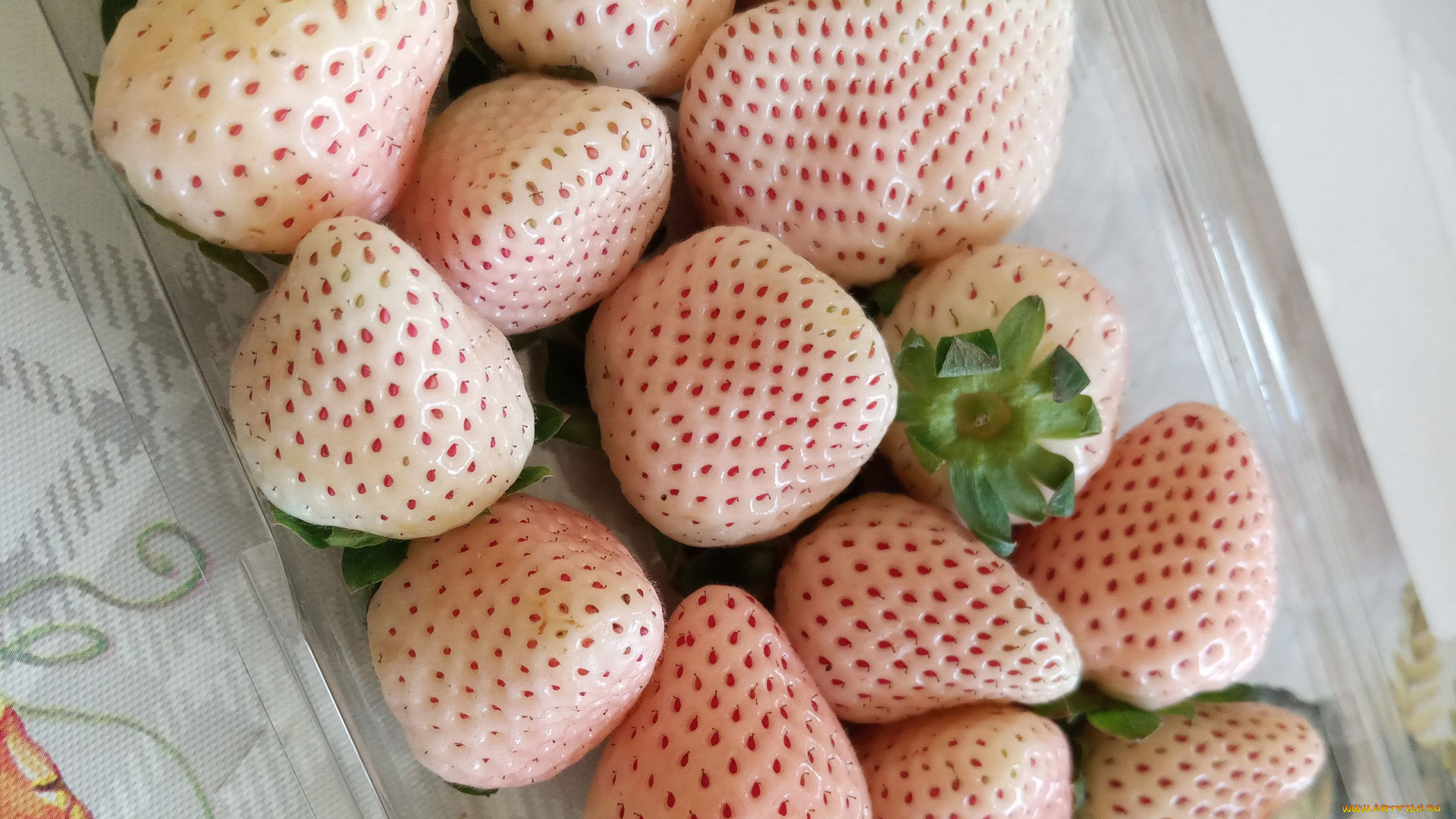 еда, клубника, , земляника, ягоды, белая