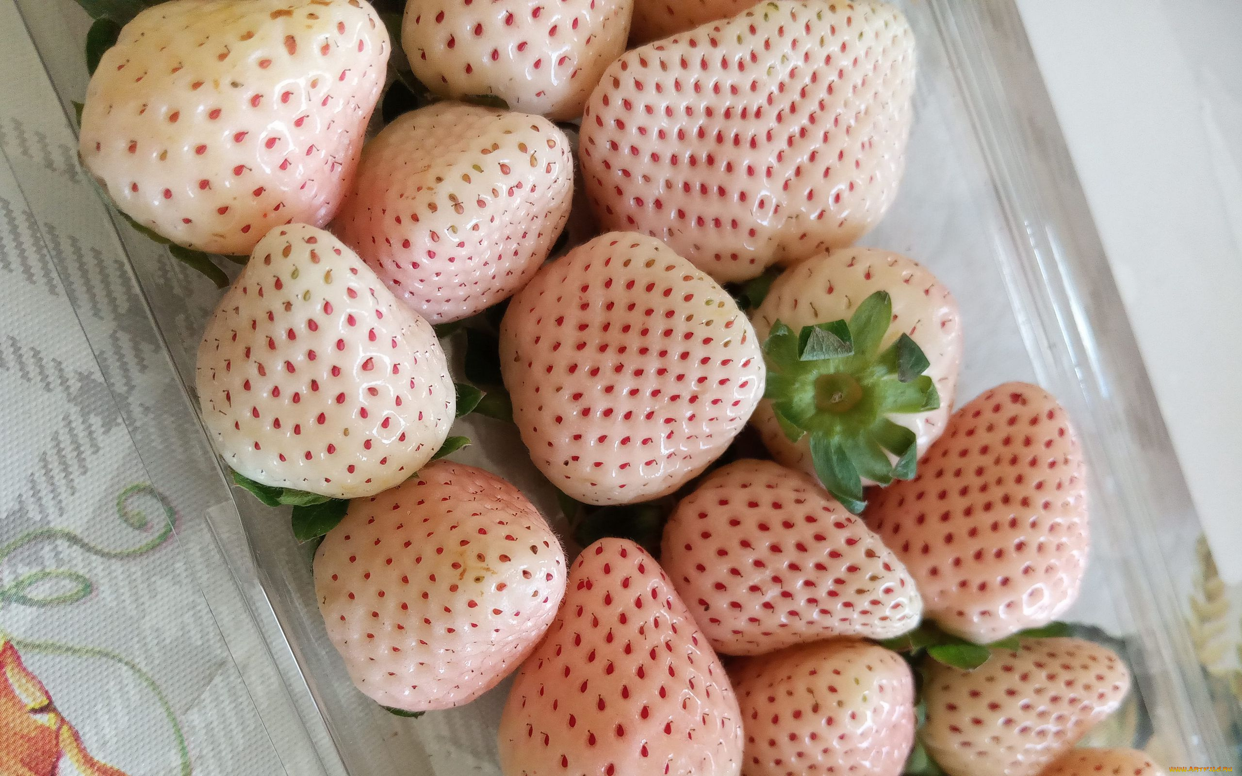 еда, клубника, , земляника, ягоды, белая