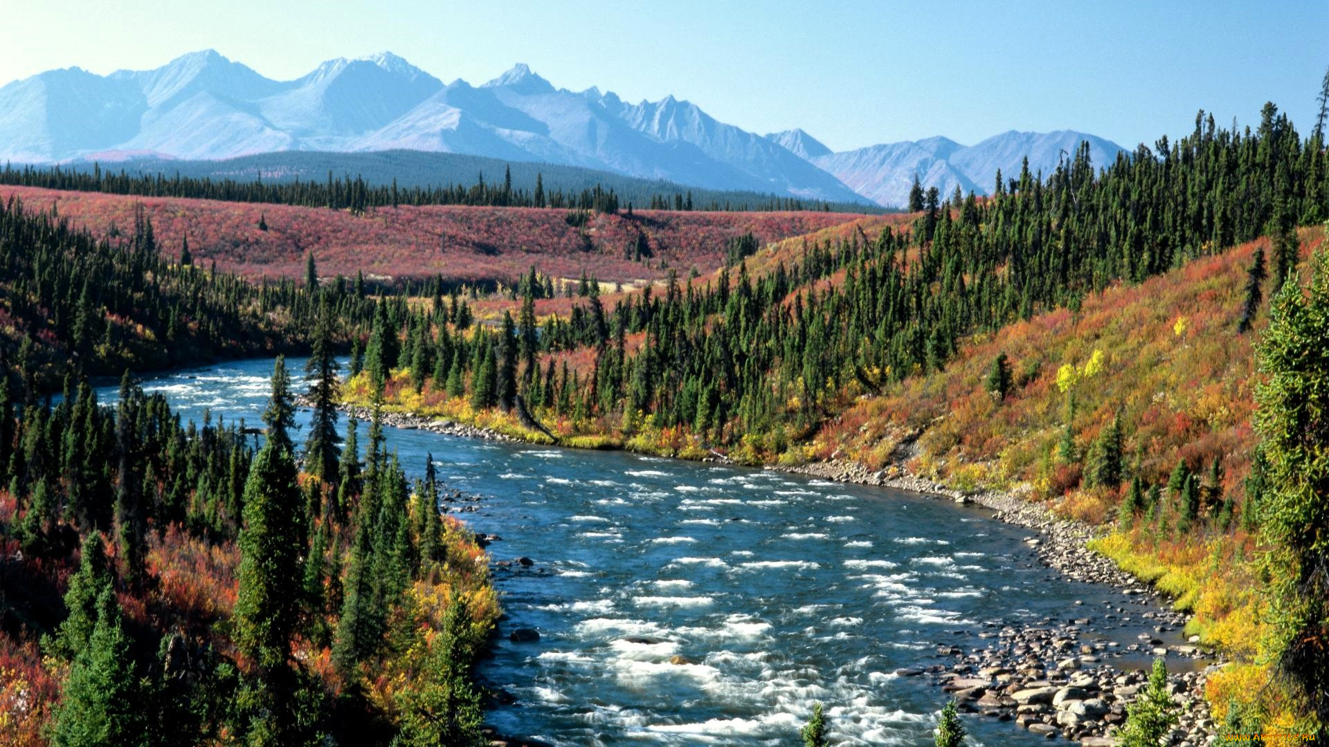 природа, реки, озера, горы, лес, река