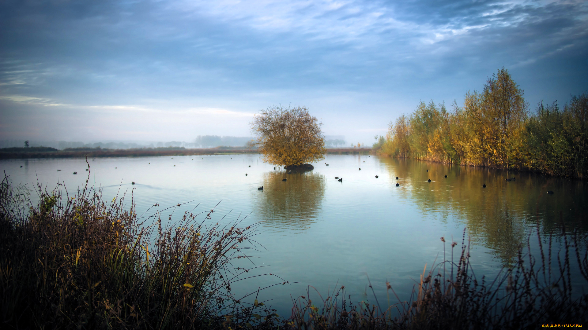 природа, реки, озера, деревья, осень, трава, берега, озеро