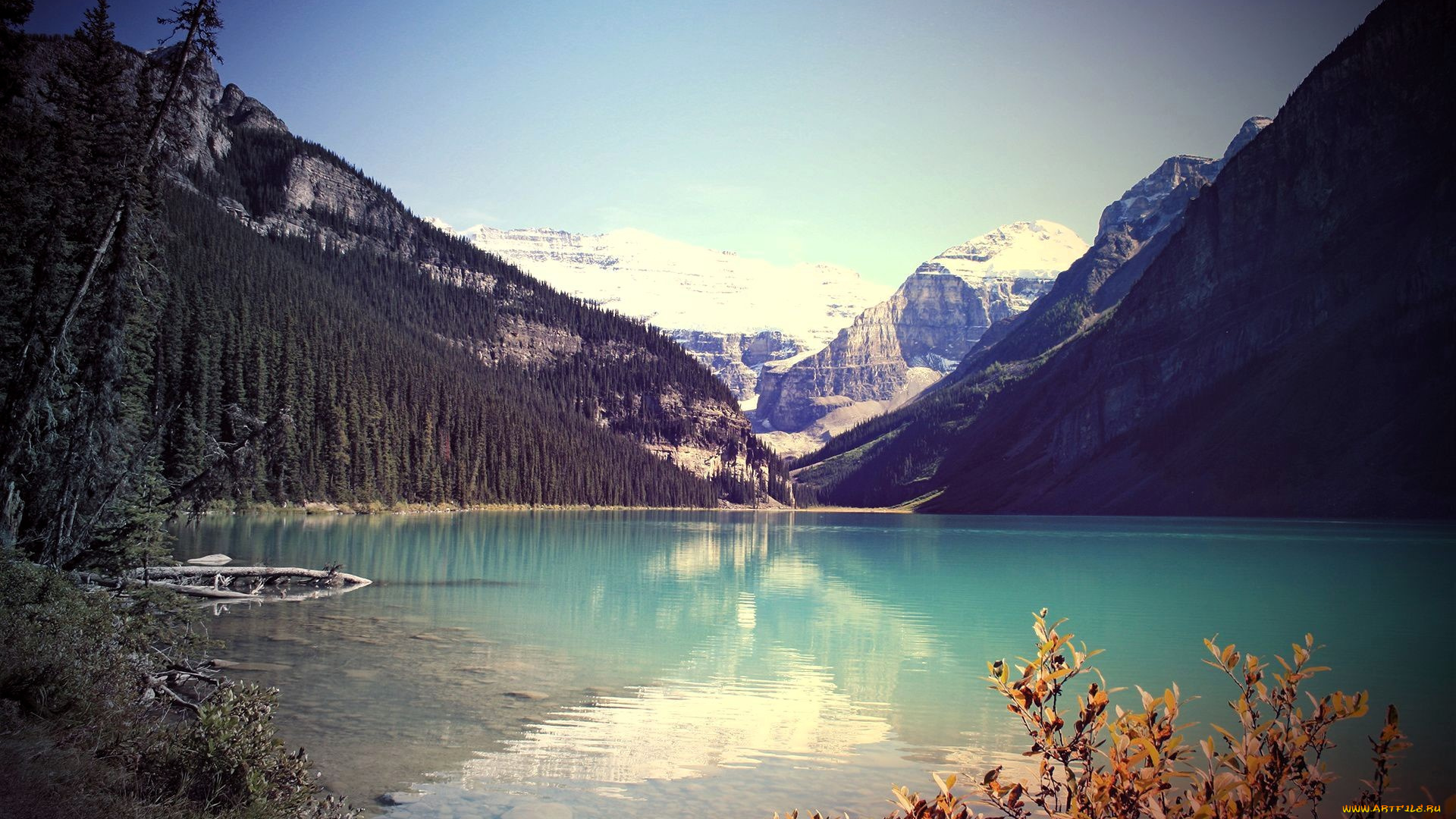 природа, реки, озера, горы, лес, озеро, кусты, коряга