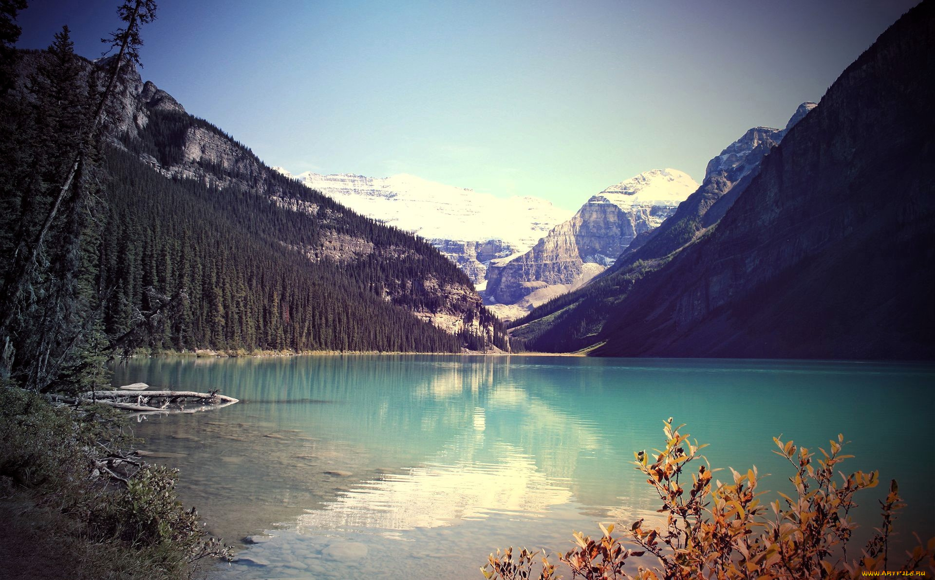 природа, реки, озера, горы, лес, озеро, кусты, коряга