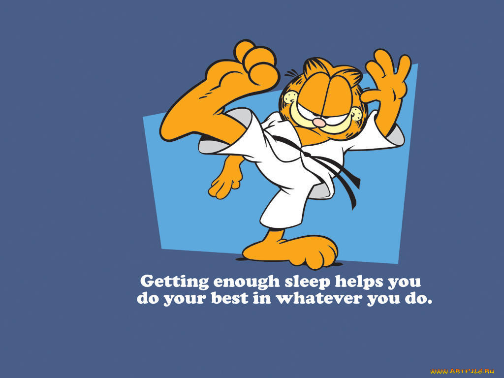 мультфильмы, garfield