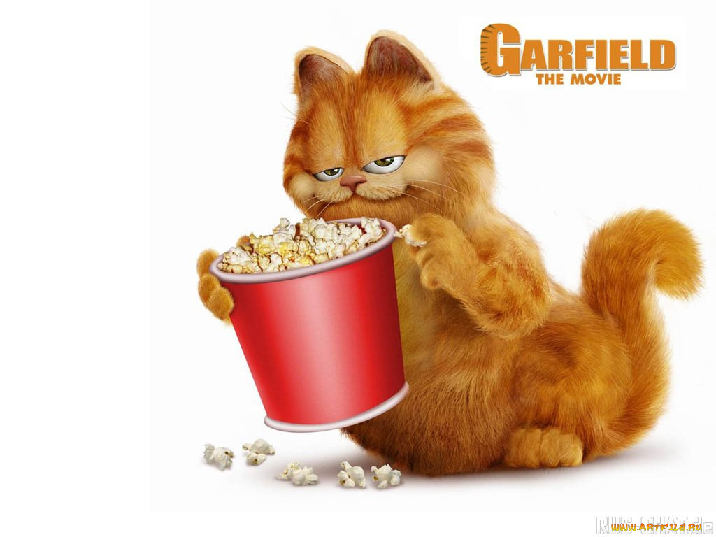 мультфильмы, garfield