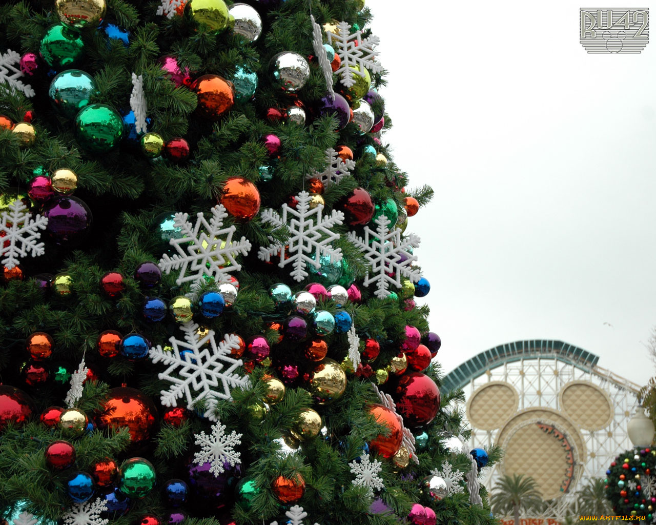 3651, праздничные, Ёлки