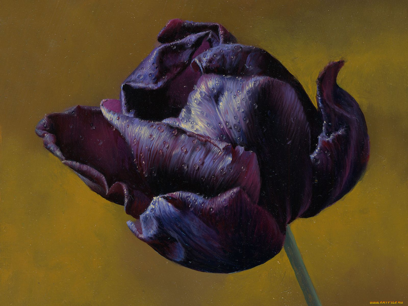 рисованные, цветы