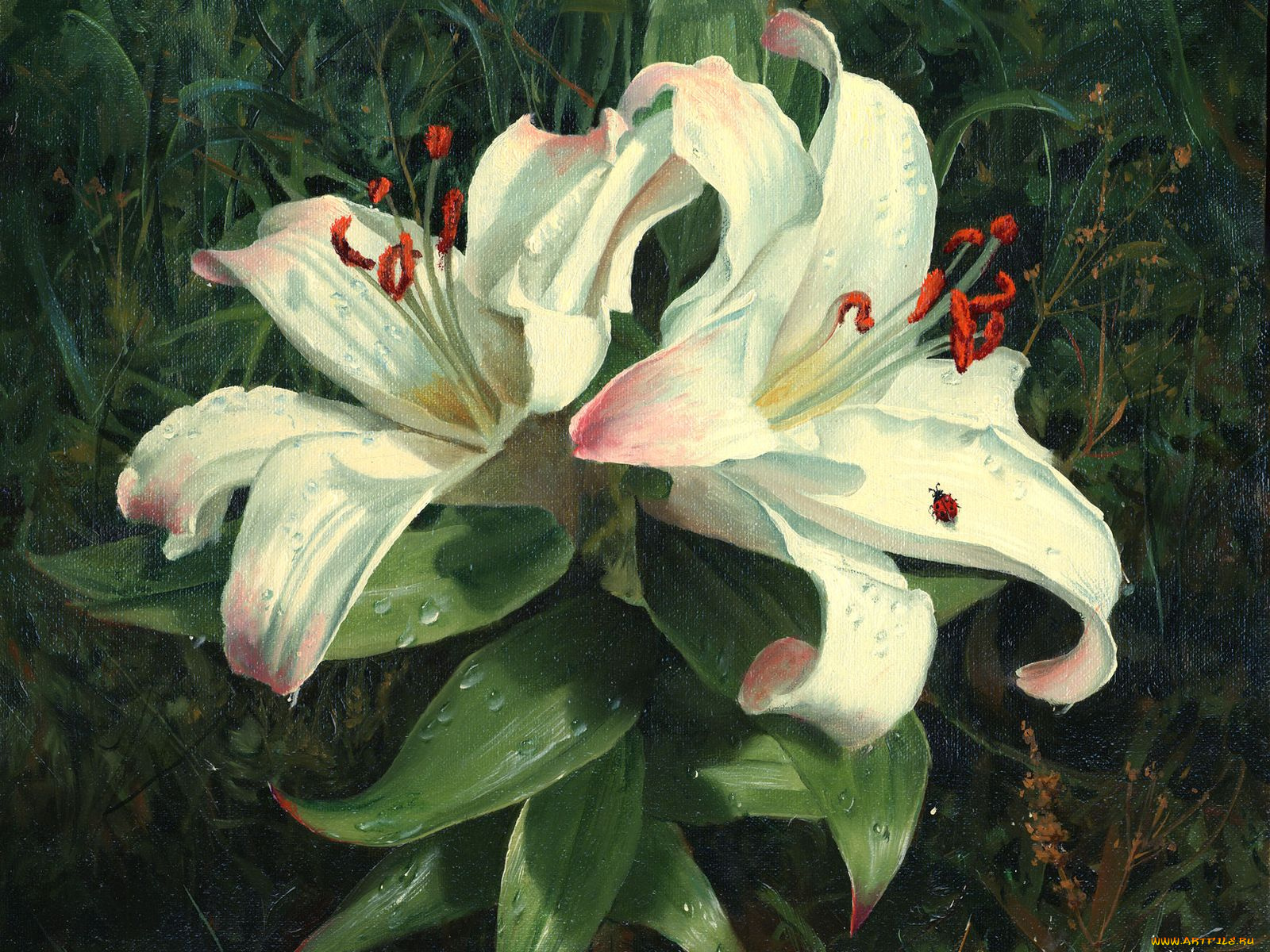 рисованные, цветы