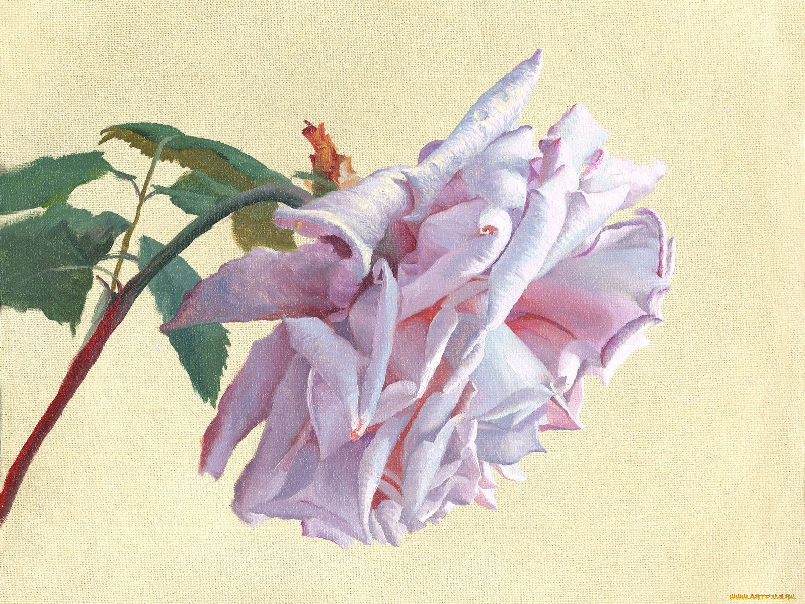 рисованные, цветы