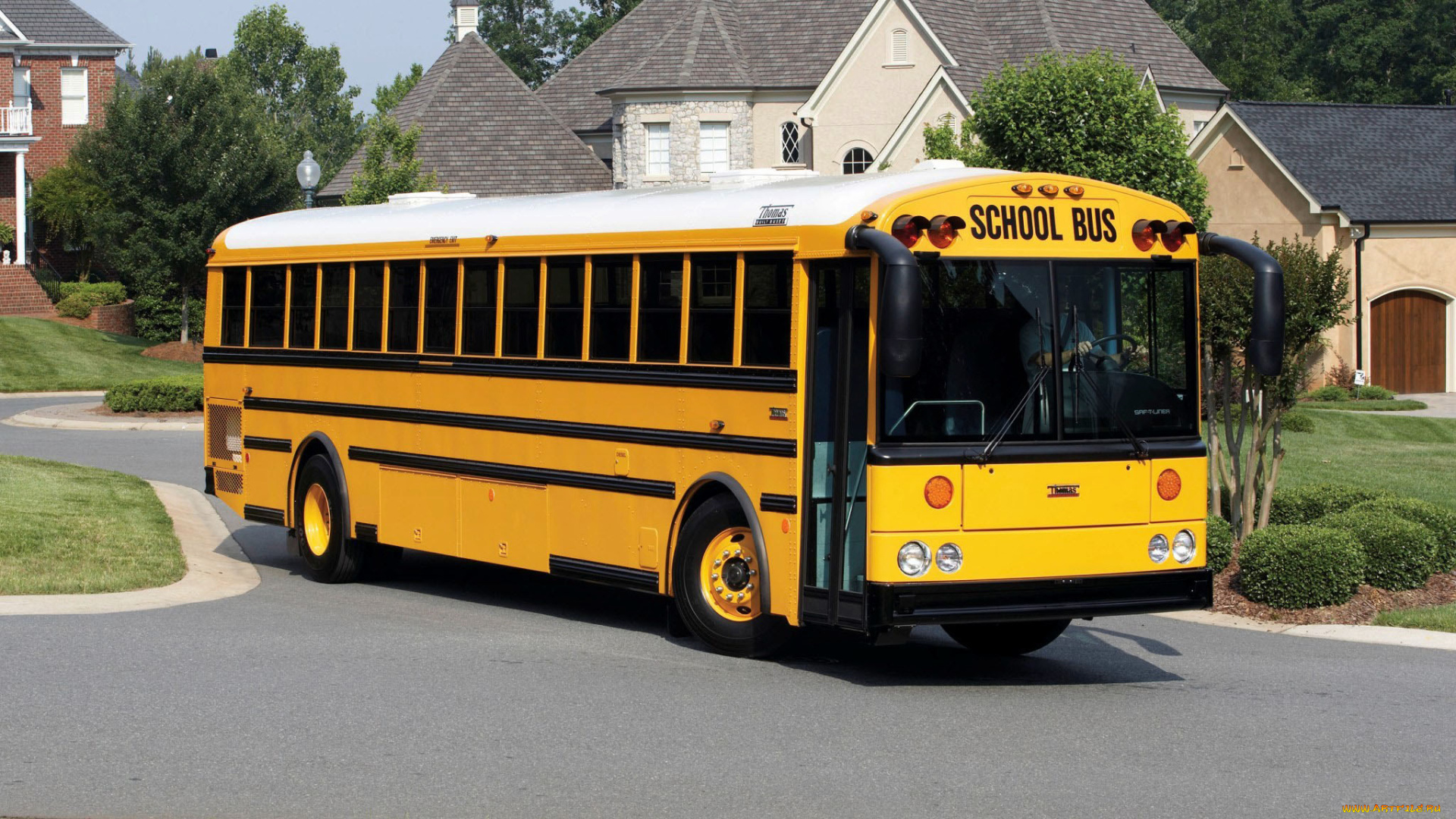 автомобили, автобусы