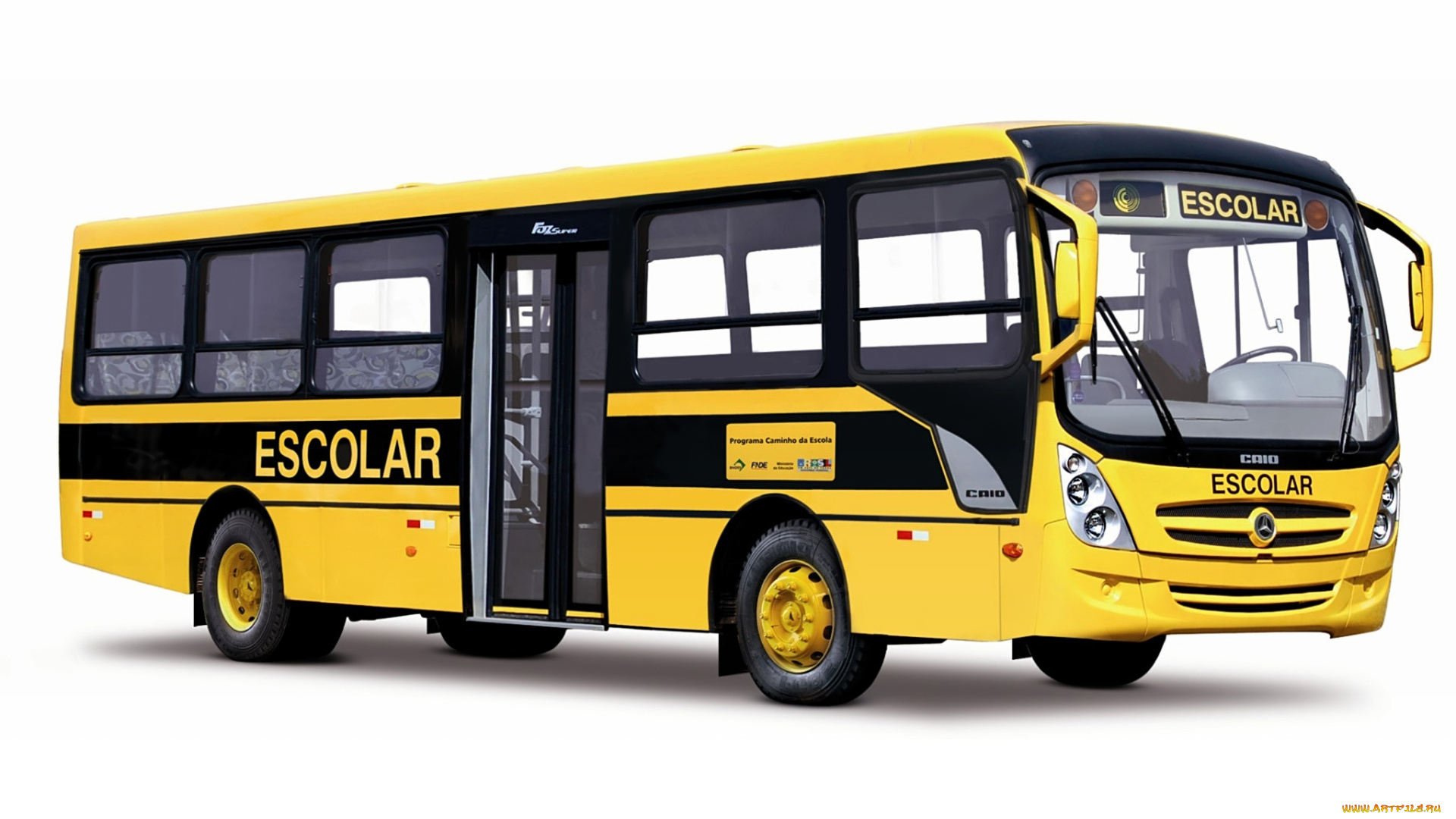 автомобили, автобусы