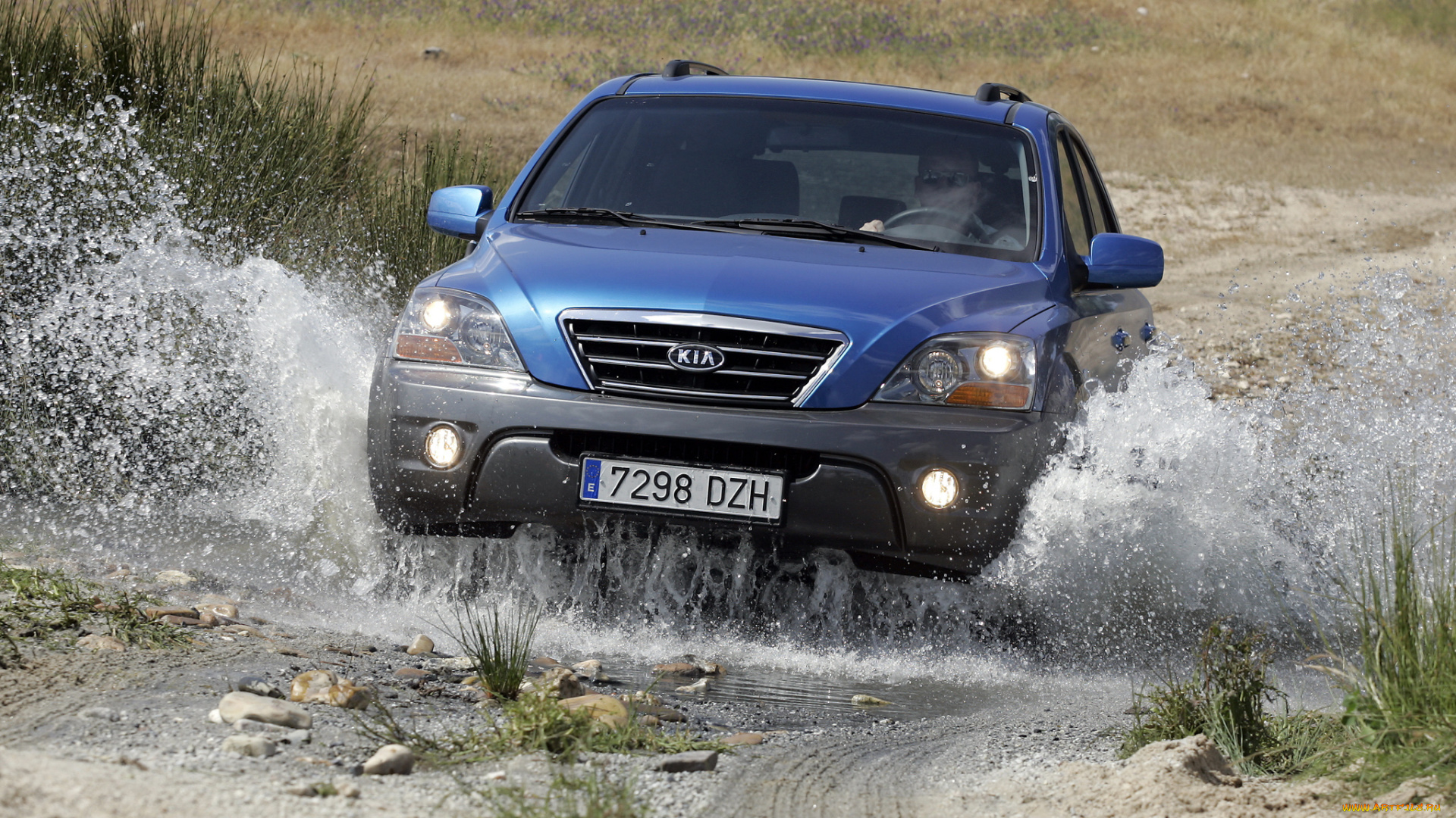 автомобили, kia