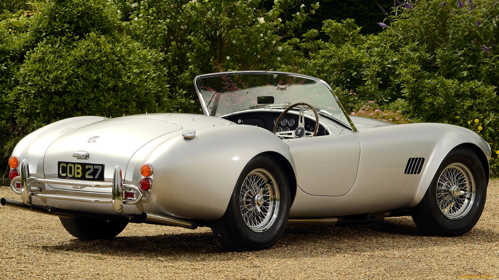 cobra, автомобили, ac, shelby, мощь, скорость, автомобиль, стиль