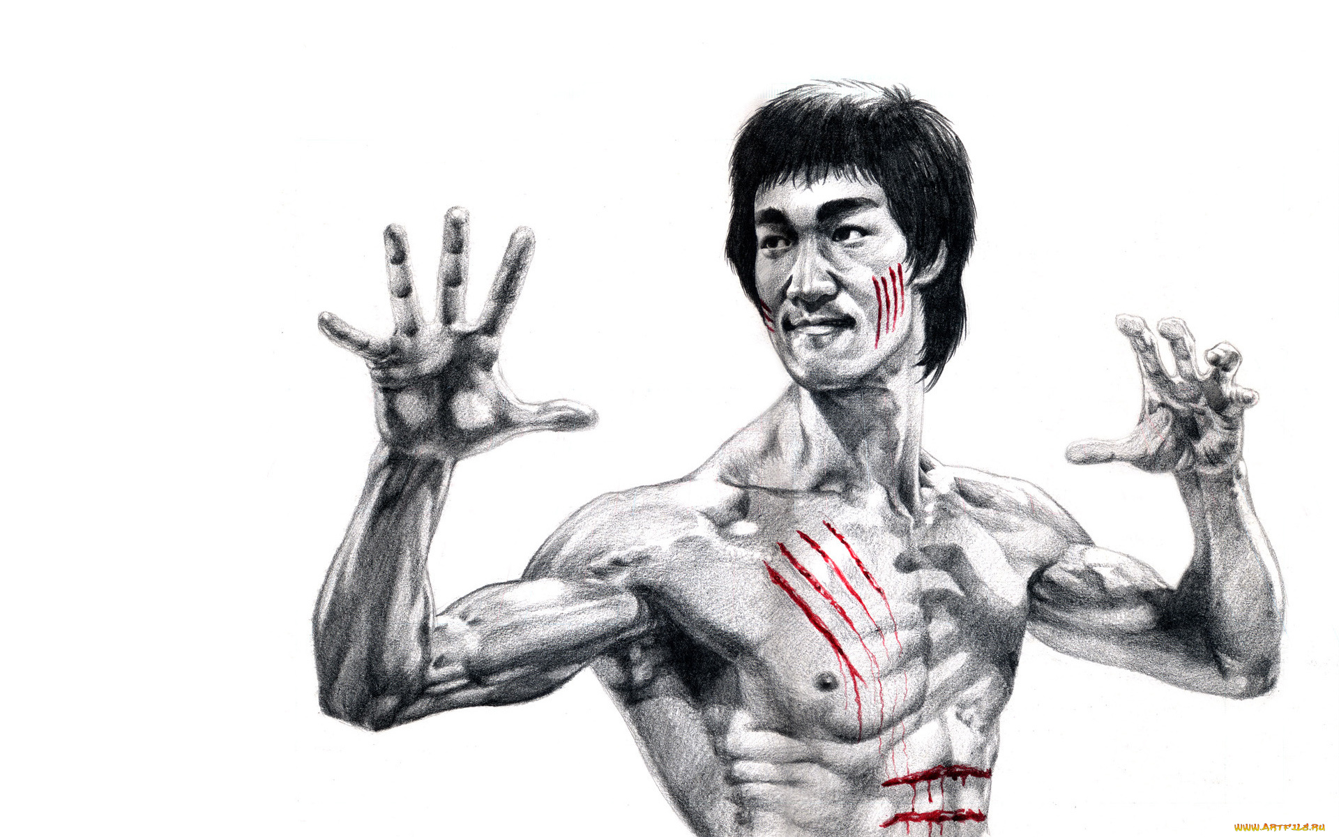 брюс, ли, рисованные, люди, bruce, lee, кровь, царапины, стойка