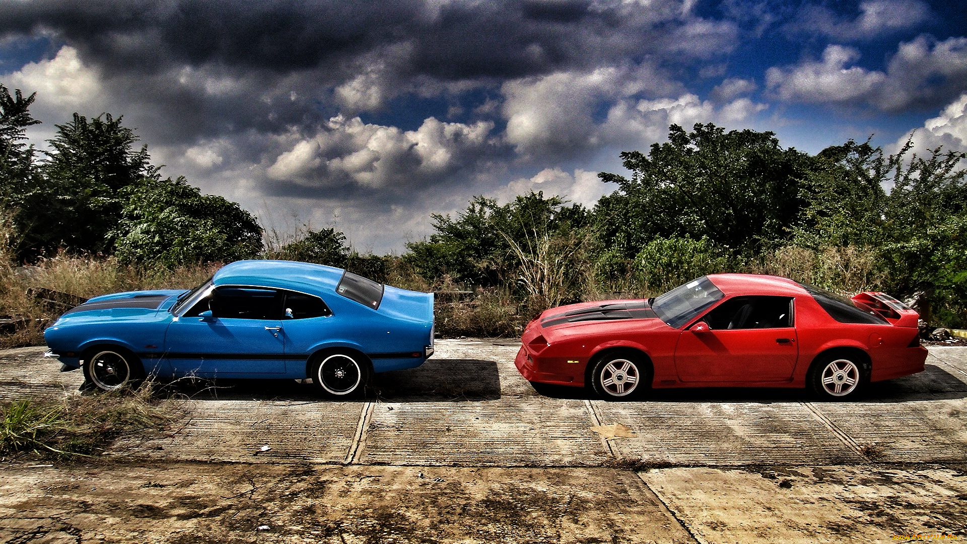 автомобили, разные, вместе, 1