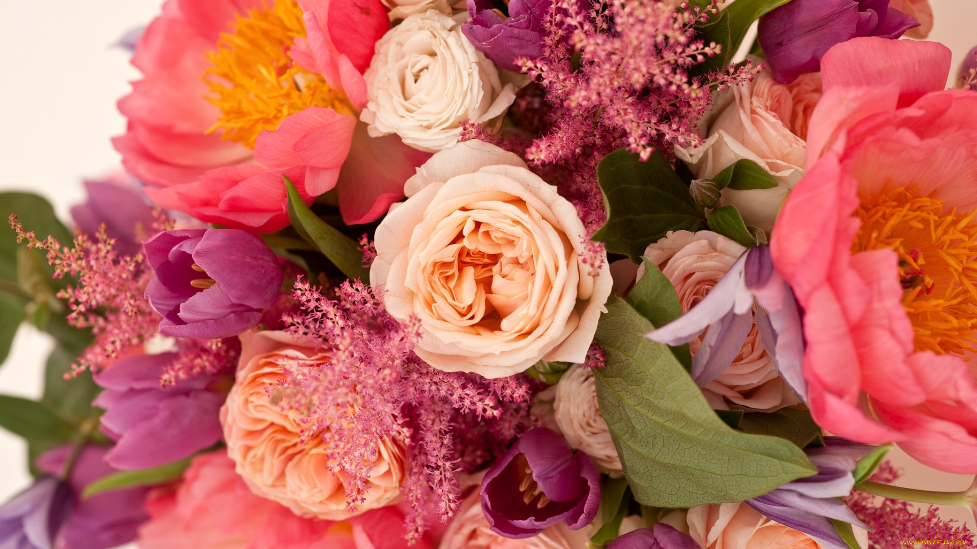 цветы, букеты, , композиции, розы, астильба, пионы