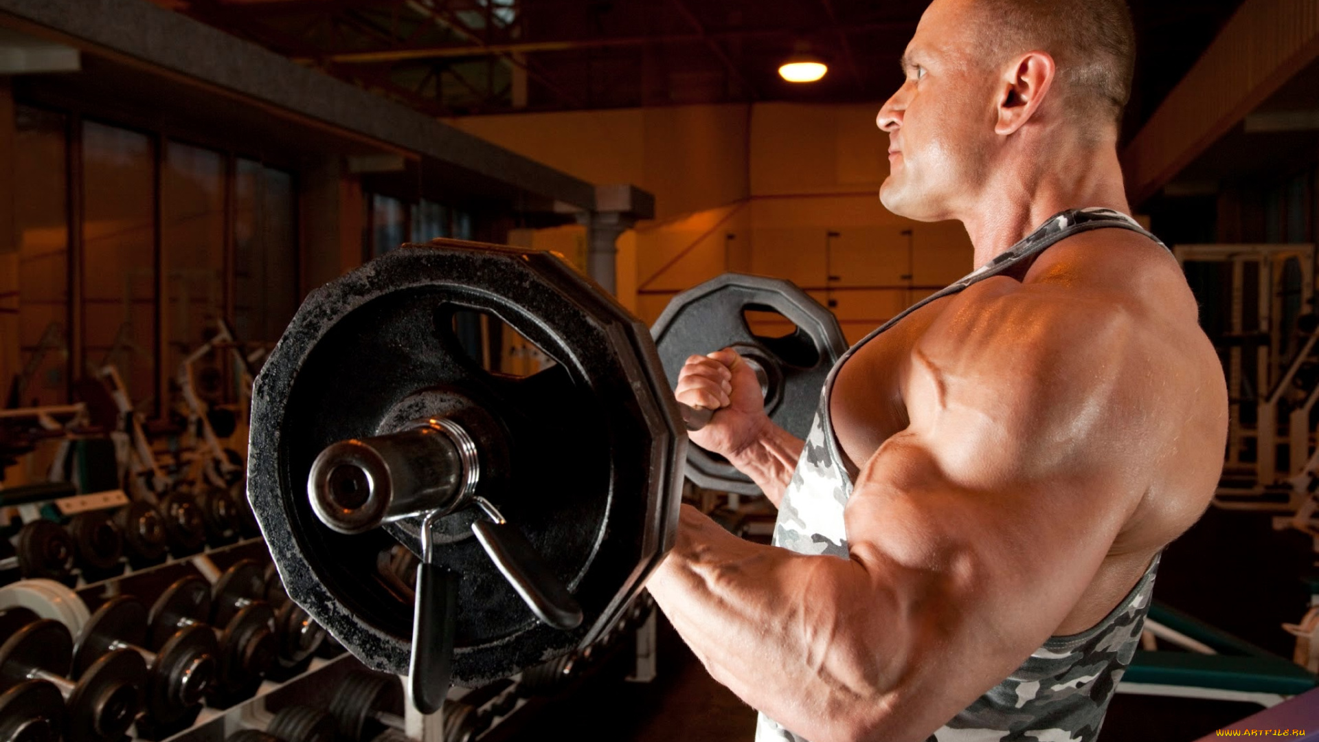 bodybuilding, спорт, body, building, мужчина