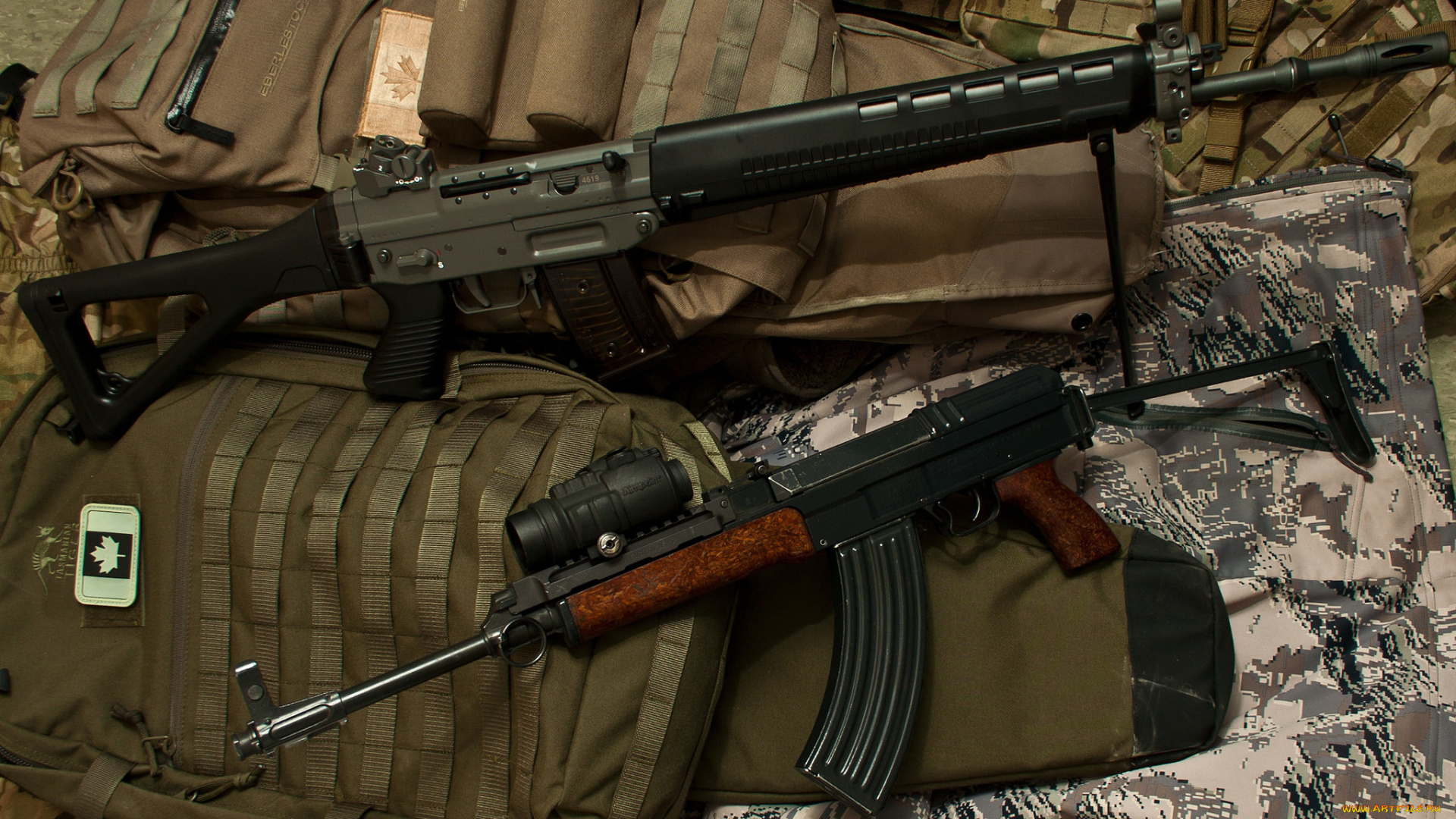 оружие, автоматы, cz, 858, sg, 550, sig, swiss, arms