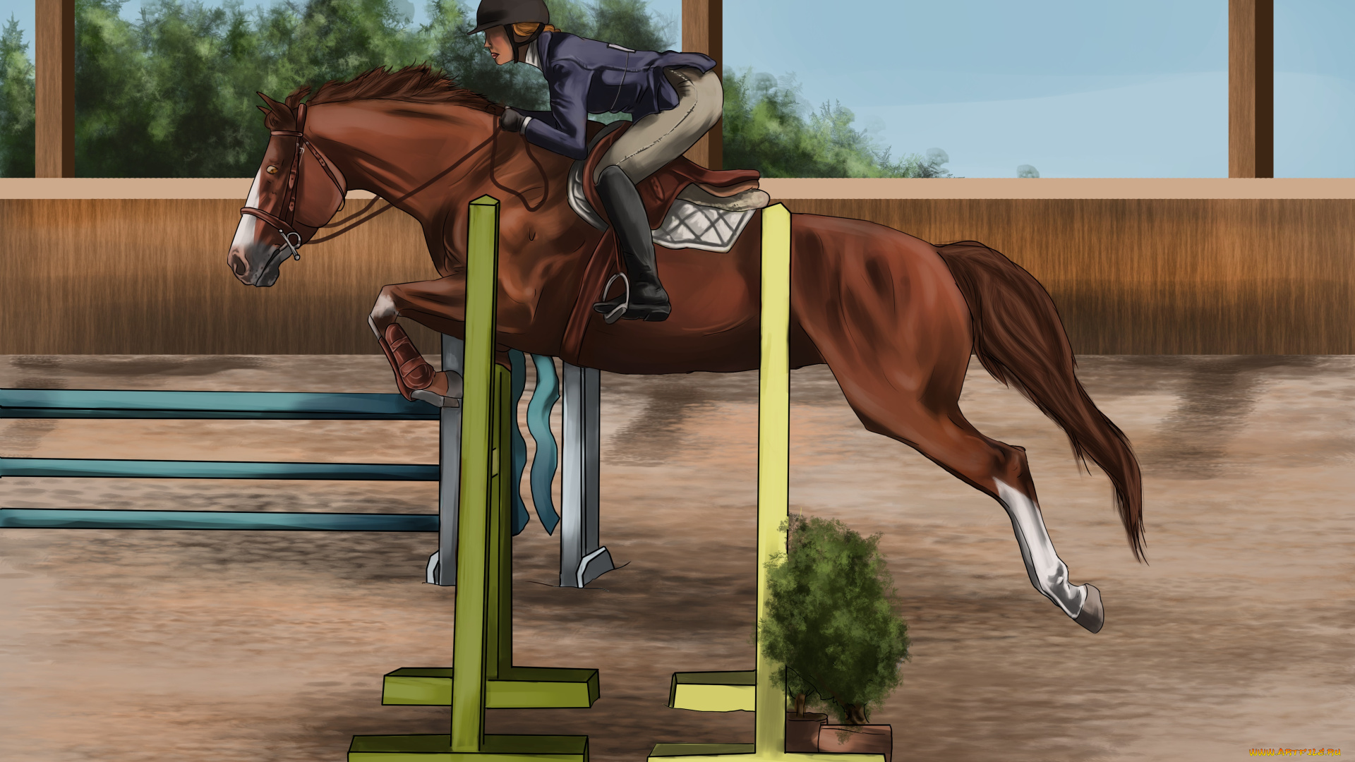 рисованное, животные, , лошади, лошадь, соревнования, всадник