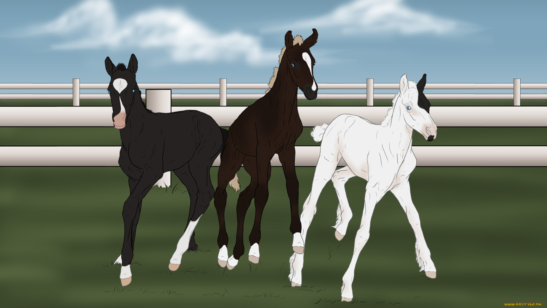 рисованное, животные, , лошади, забор, трава, облака, лошадки
