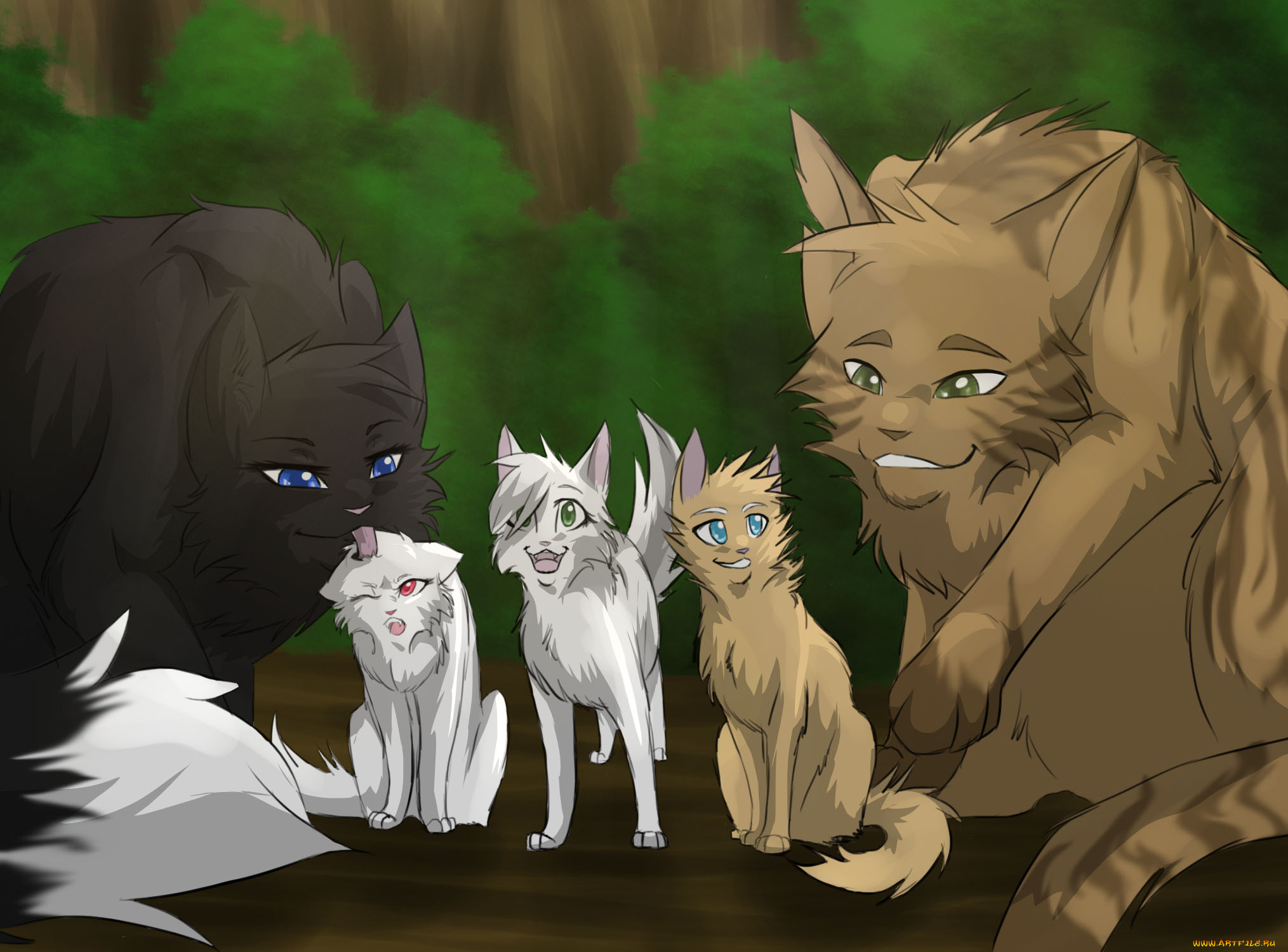 рисованное, животные, , коты, фон, коты