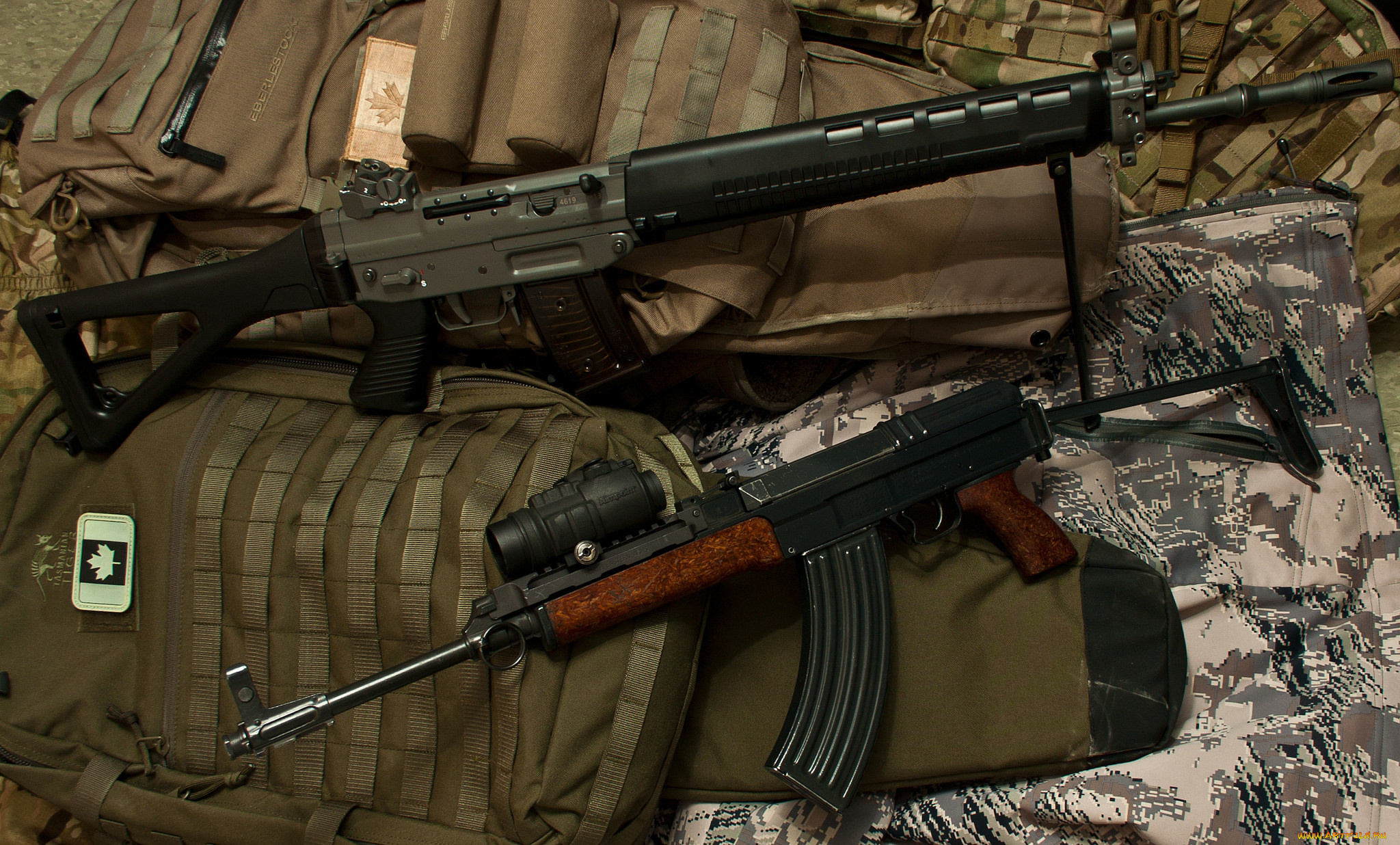 оружие, автоматы, cz, 858, sg, 550, sig, swiss, arms