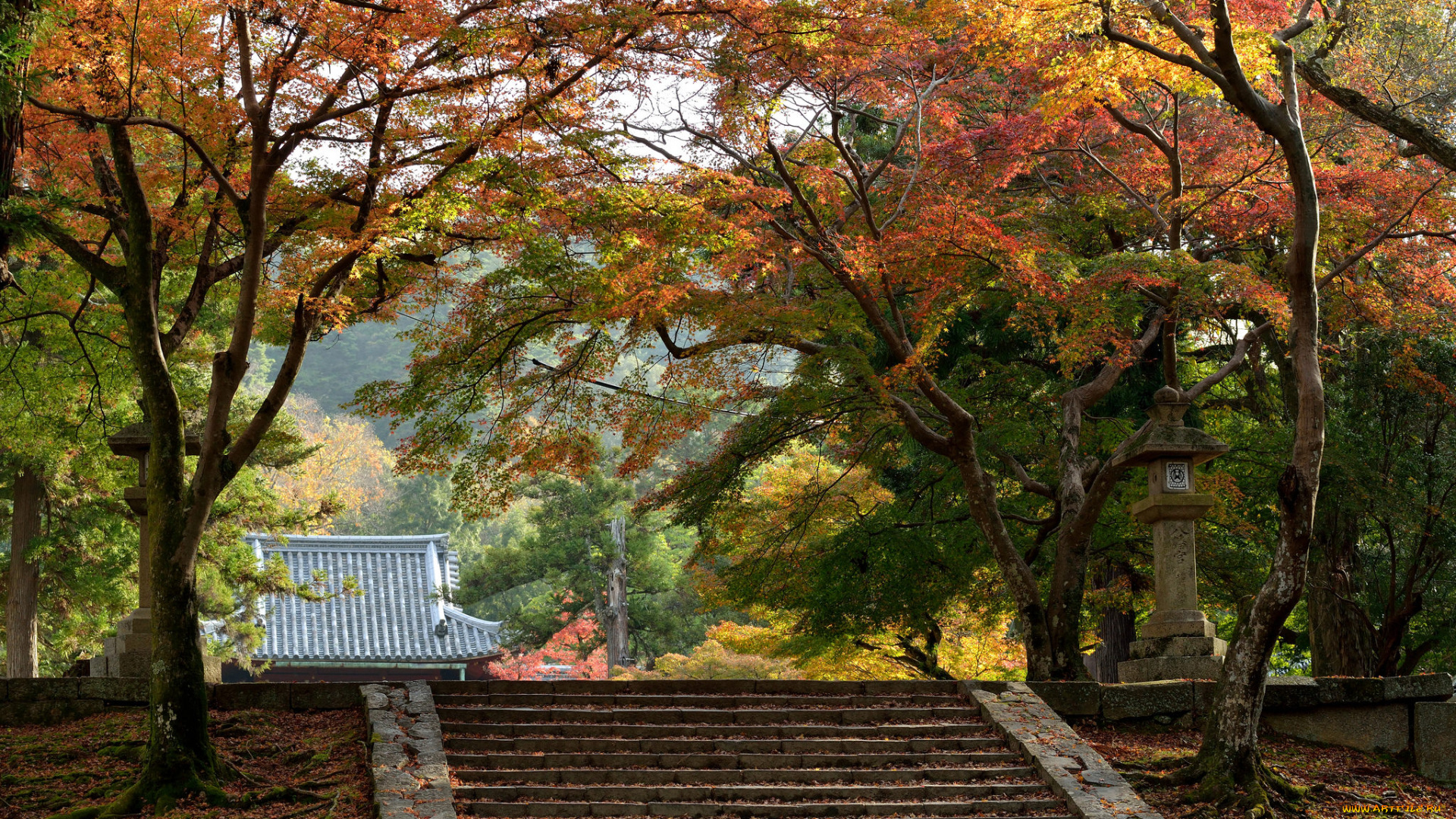 природа, парк, лестница, осень, деревья