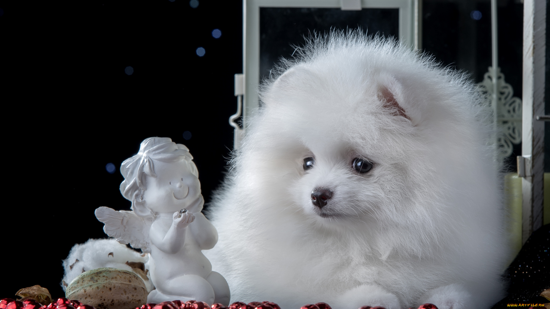 животные, собаки, белый, щенок, шпиц, милый, статуэтка, ангел