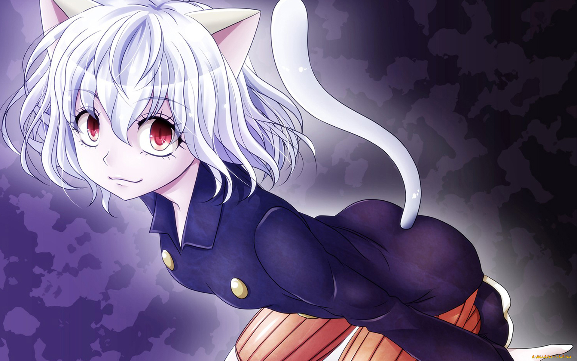 аниме, hunter, x, hunter, химера, девушка, ушки