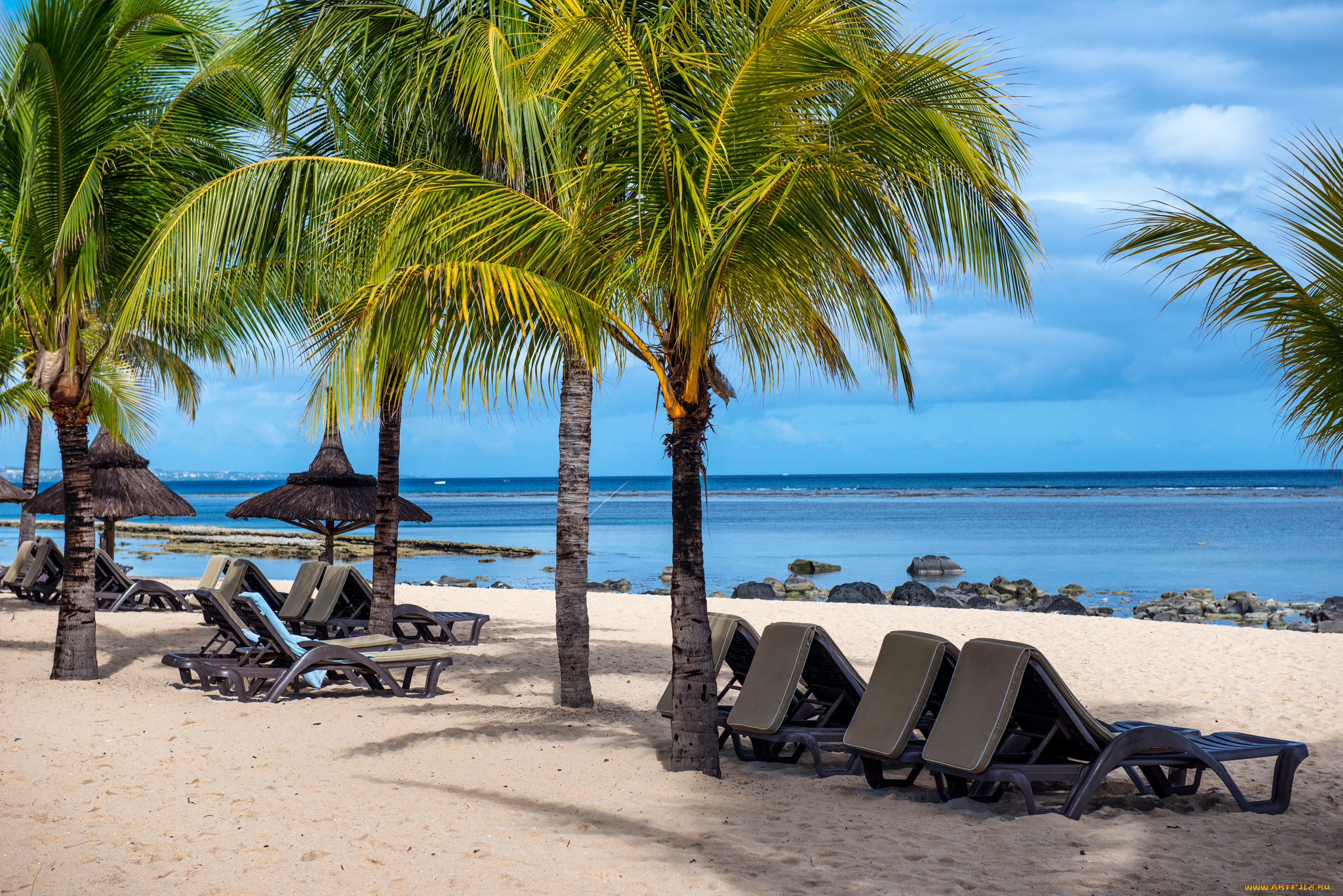 природа, тропики, пляж, пальмы