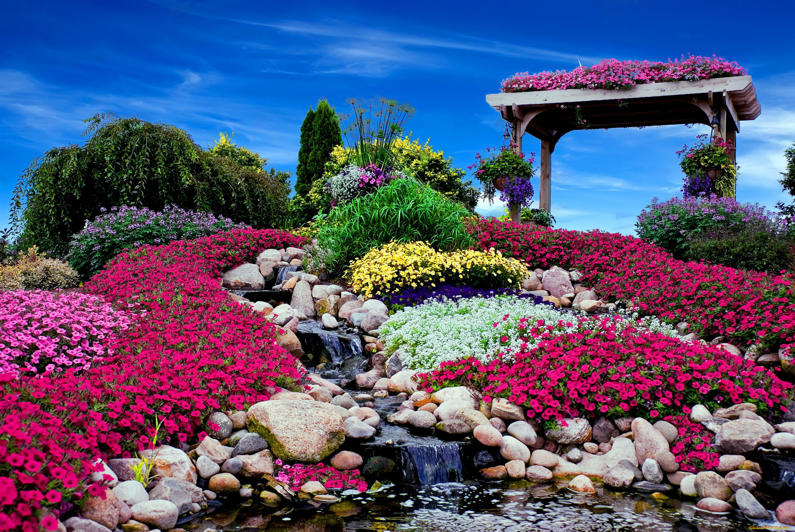 цветы, разные, вместе, альпийская, горка