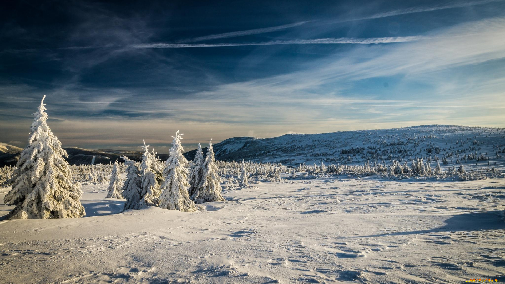 природа, зима, деревья, снег