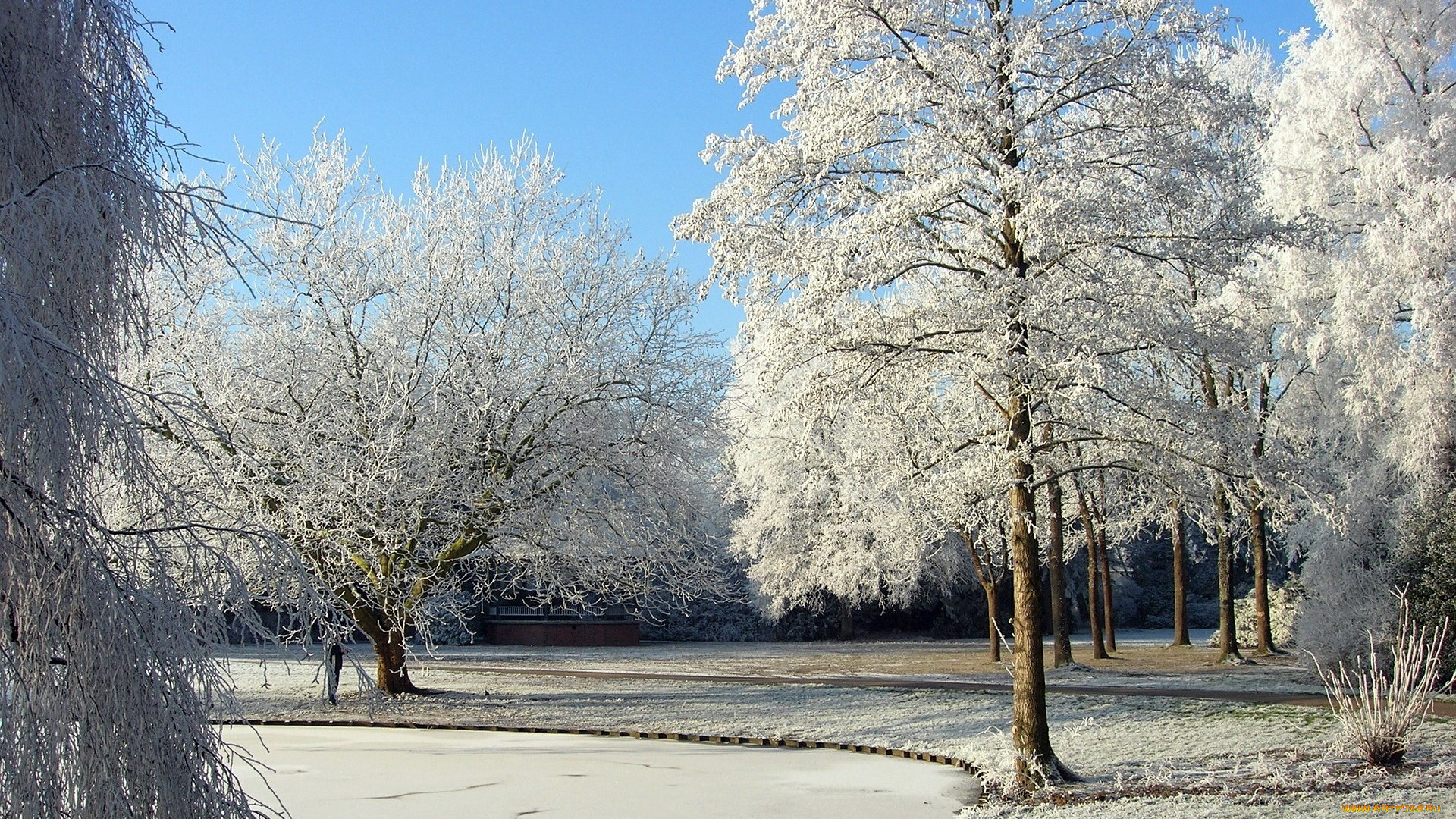 природа, зима, снег, деревья