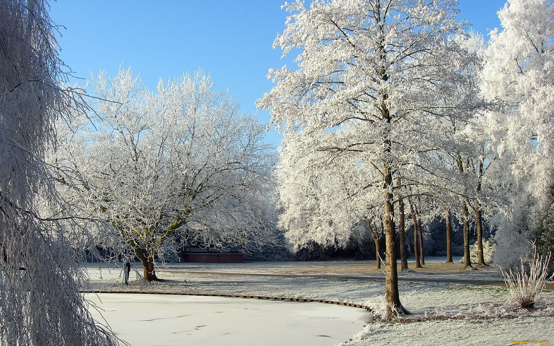 природа, зима, снег, деревья