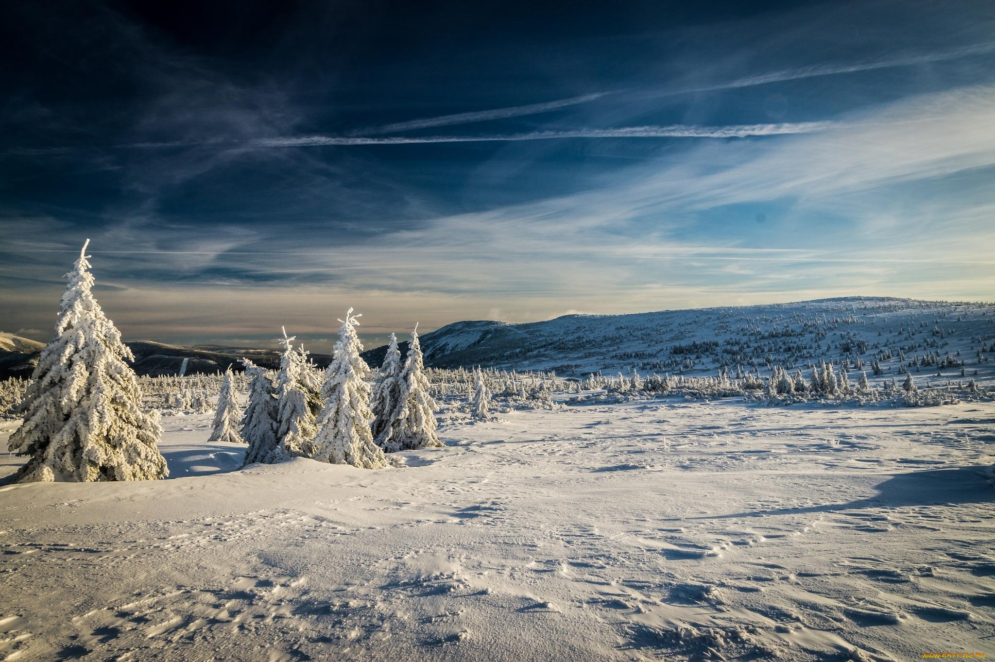 природа, зима, деревья, снег