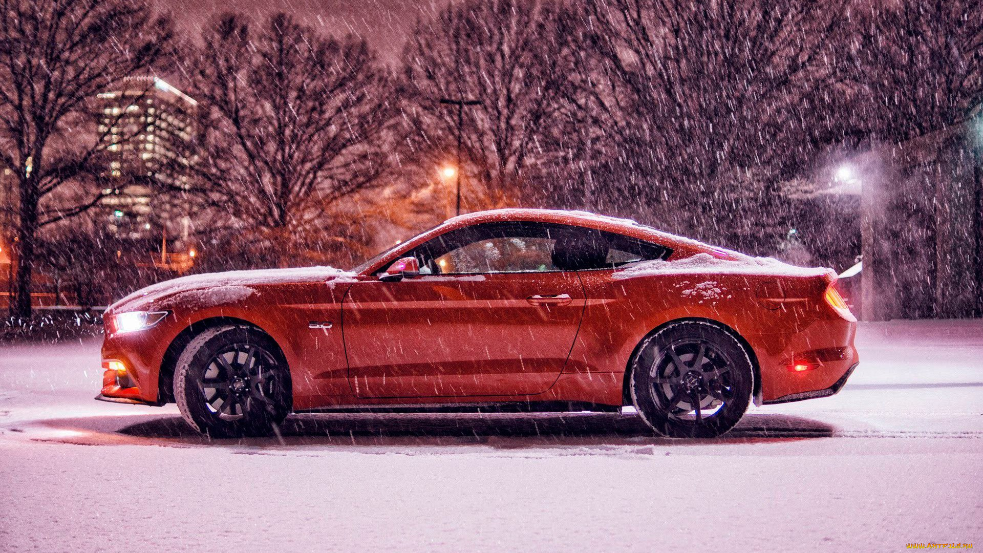 автомобили, mustang, ford