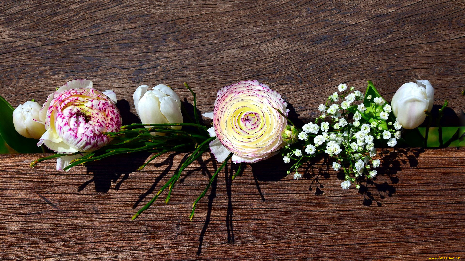 цветы, разные, вместе, ранункулюс, композиция, тюльпаны