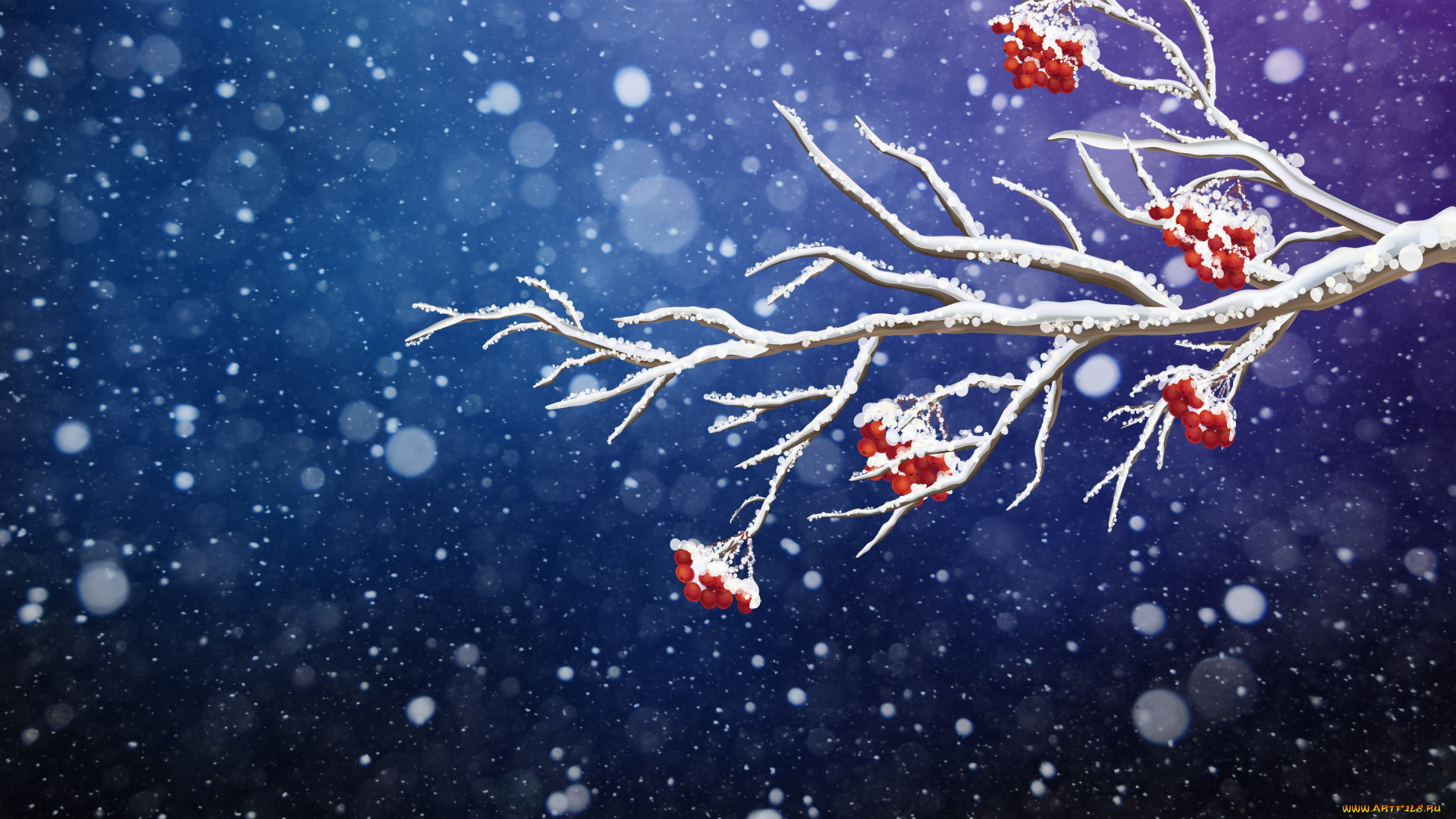 векторная, графика, природа, , nature, фон, ветка, снег, рябина, минимализм, зима, новый, год, рождество, снежинки