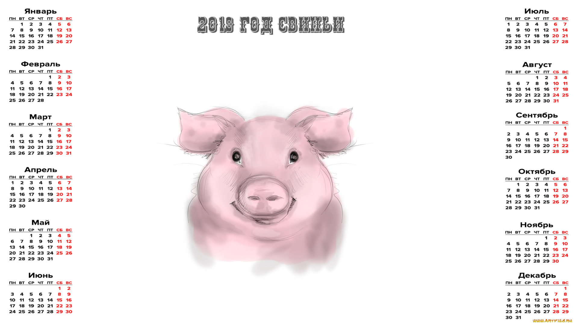 календари, праздники, , салюты, свинья, поросенок